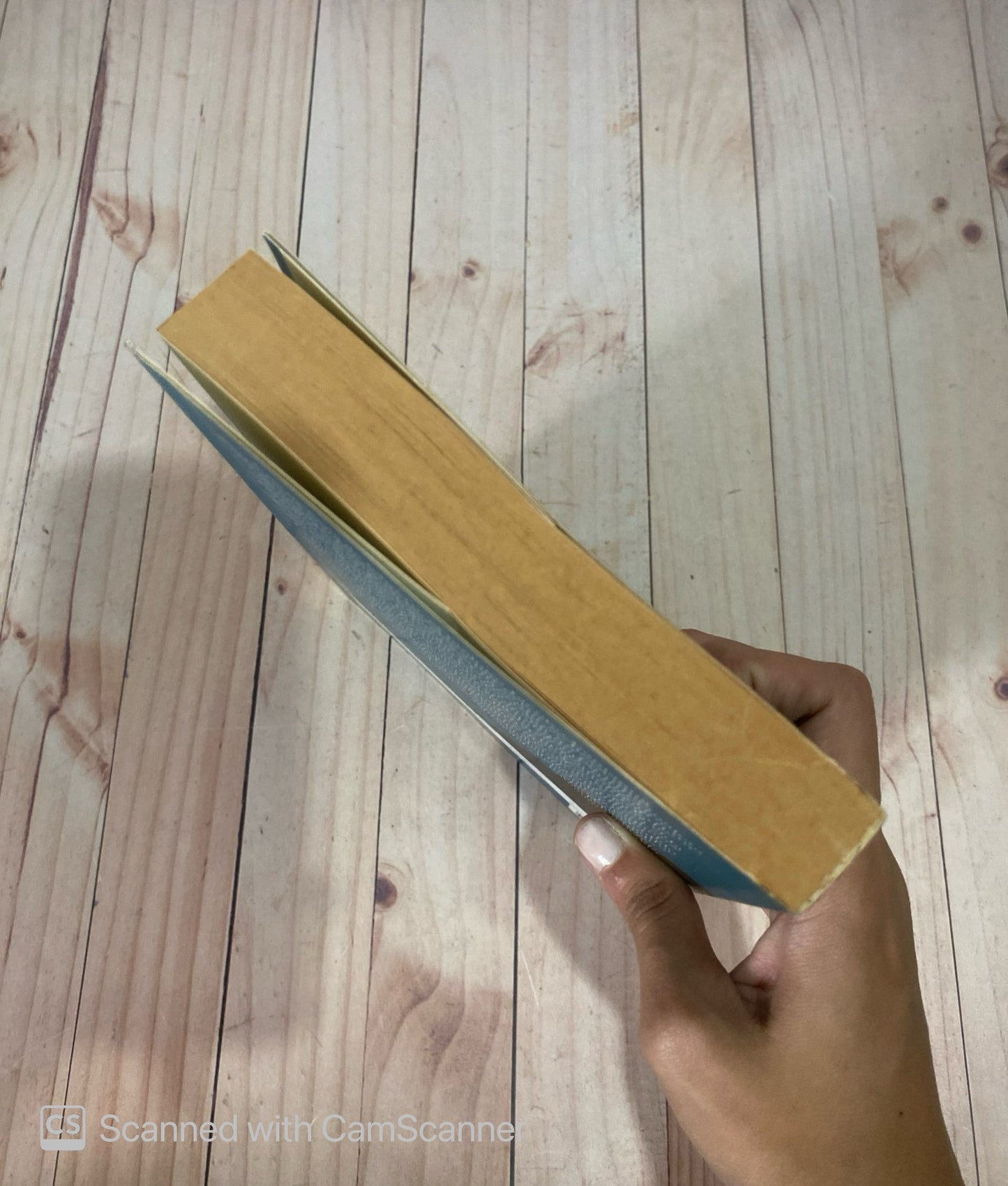 Instinto animal | Alfonso Rojo