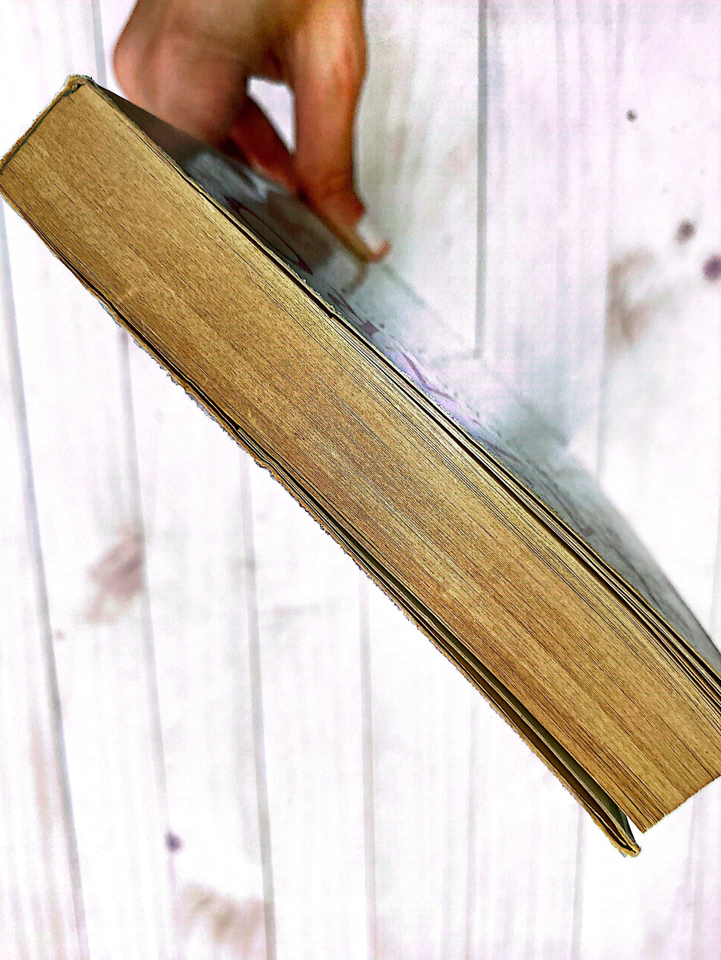 Lazaro | Morris West