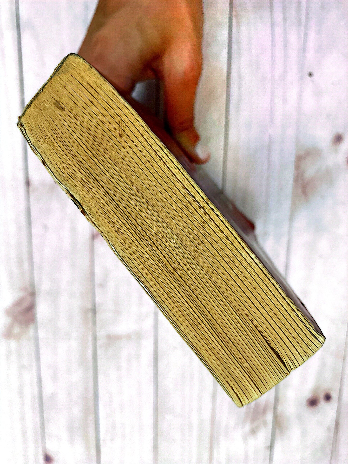 The rule of Four | Ian Caldwell