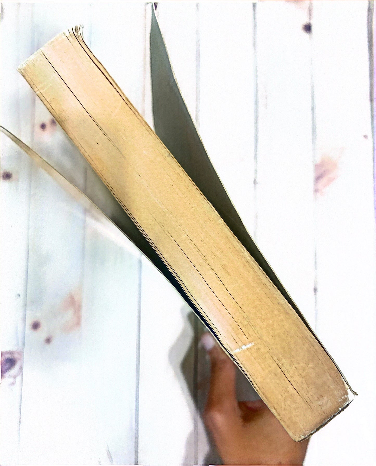 Un morrocoy en el infierno | Miguel Otero Silva