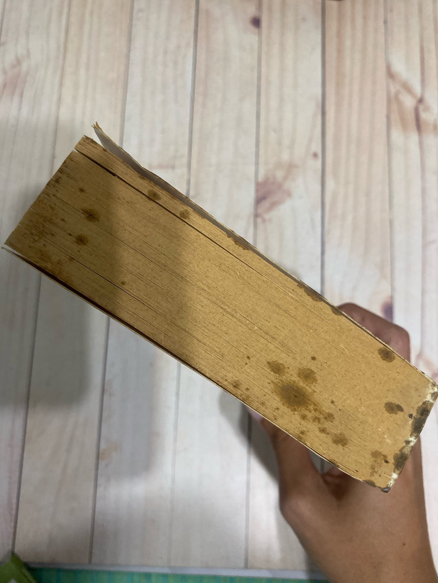 Pesadillas y alucinaciones I | Stephen King