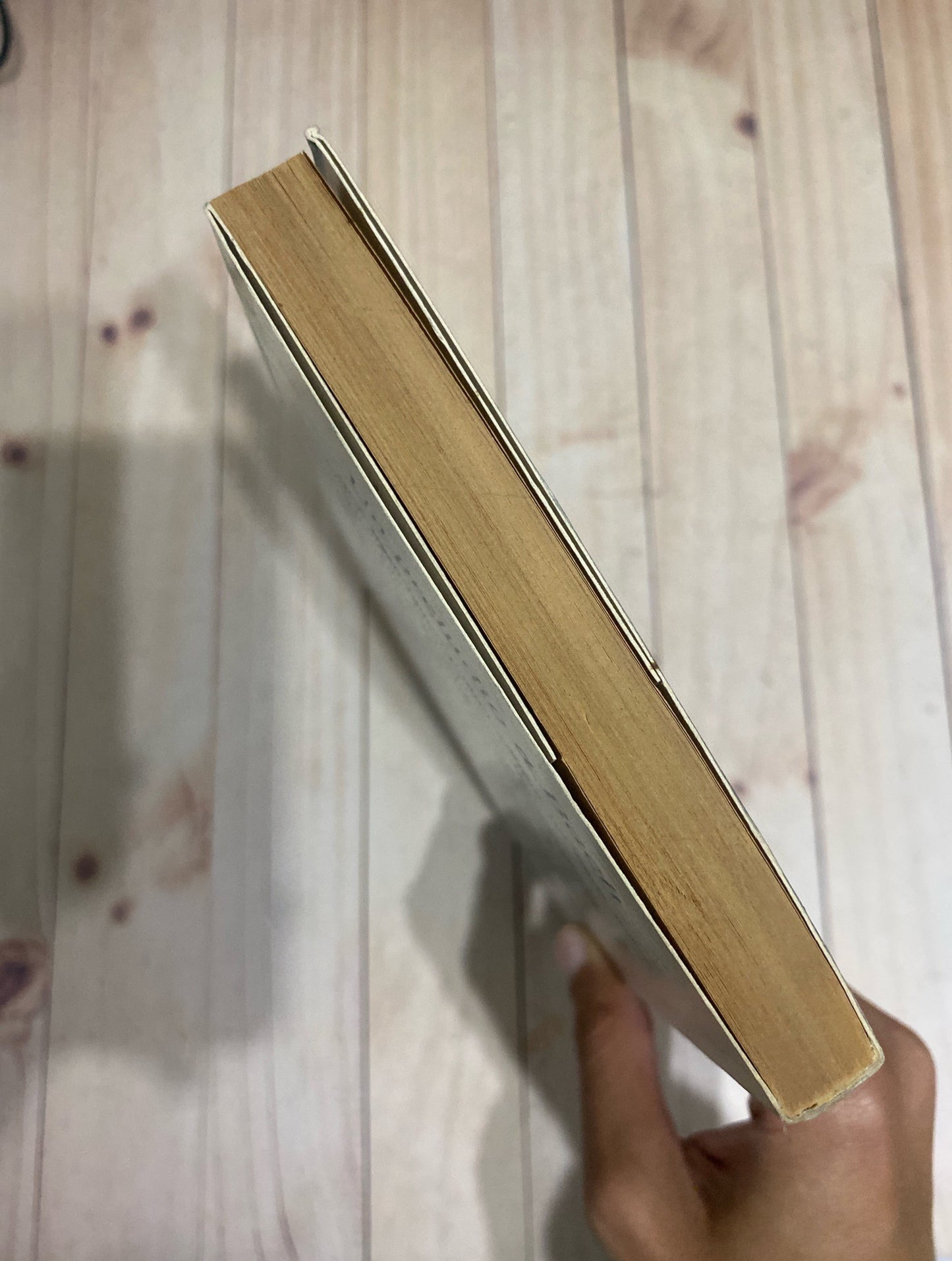 Biplano | Richard Bach