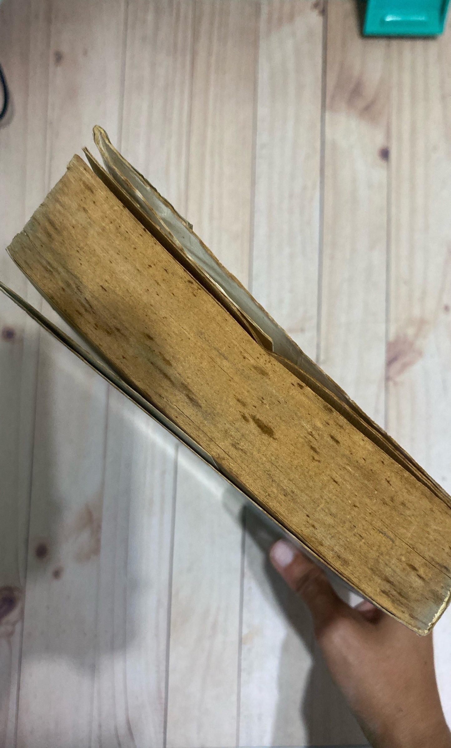 Falsa alarma | Tami Hoag