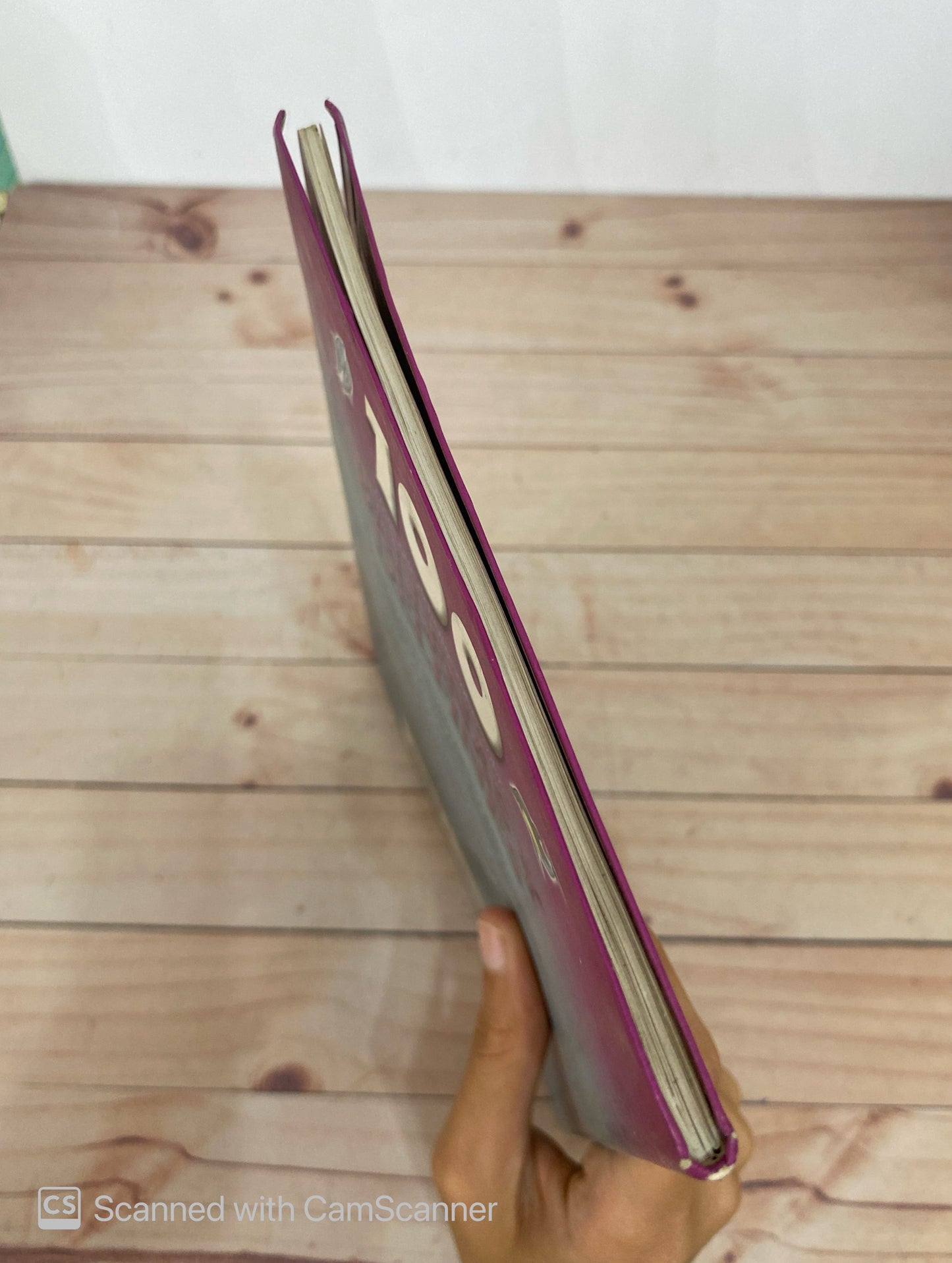 100 cosas que deberías saber sobre ballenas y delfines