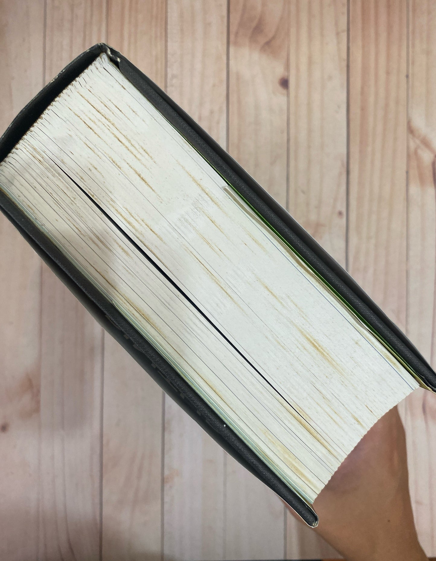 1001 pinturas que hay que ver antes de morir | Stphen Farthing