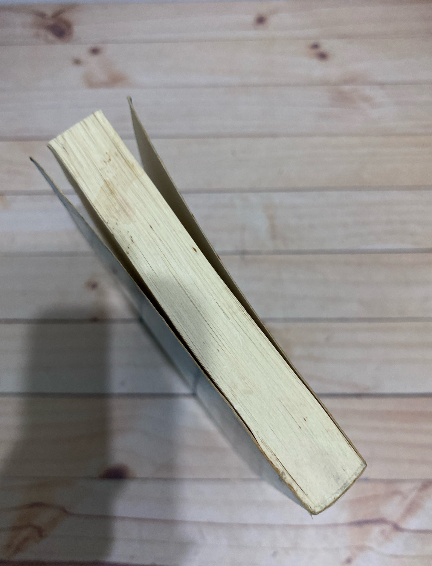 Amor perdurable |Ian McEwan