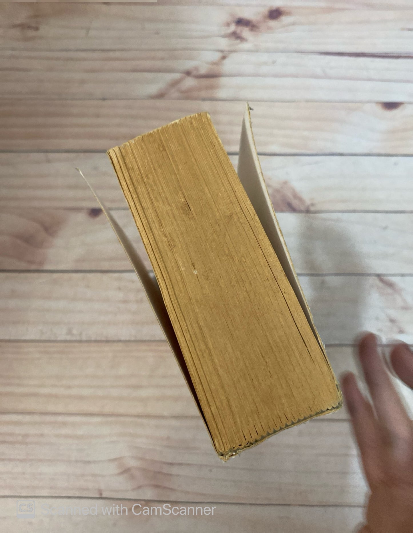 Antología del cuento venezolano | Guillermo Meneses