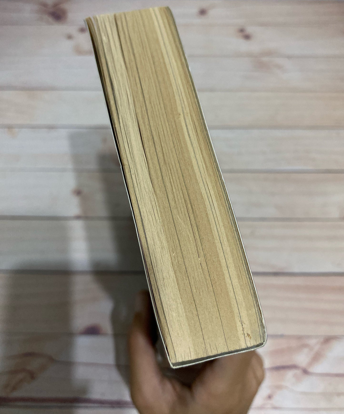 Ashes | Ilsa J. Bick
