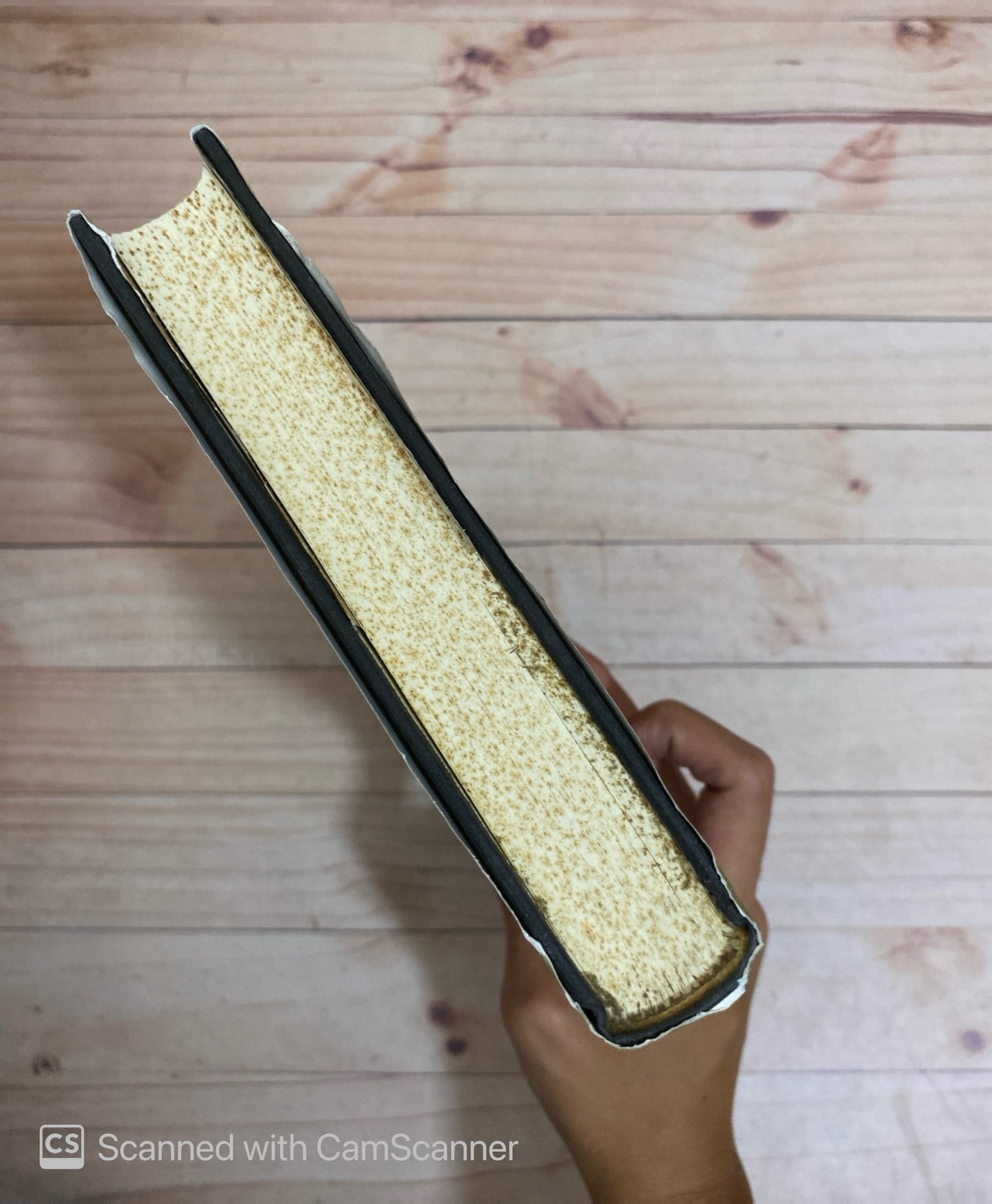 Auge y caída de los templarios | Alain Demurguer