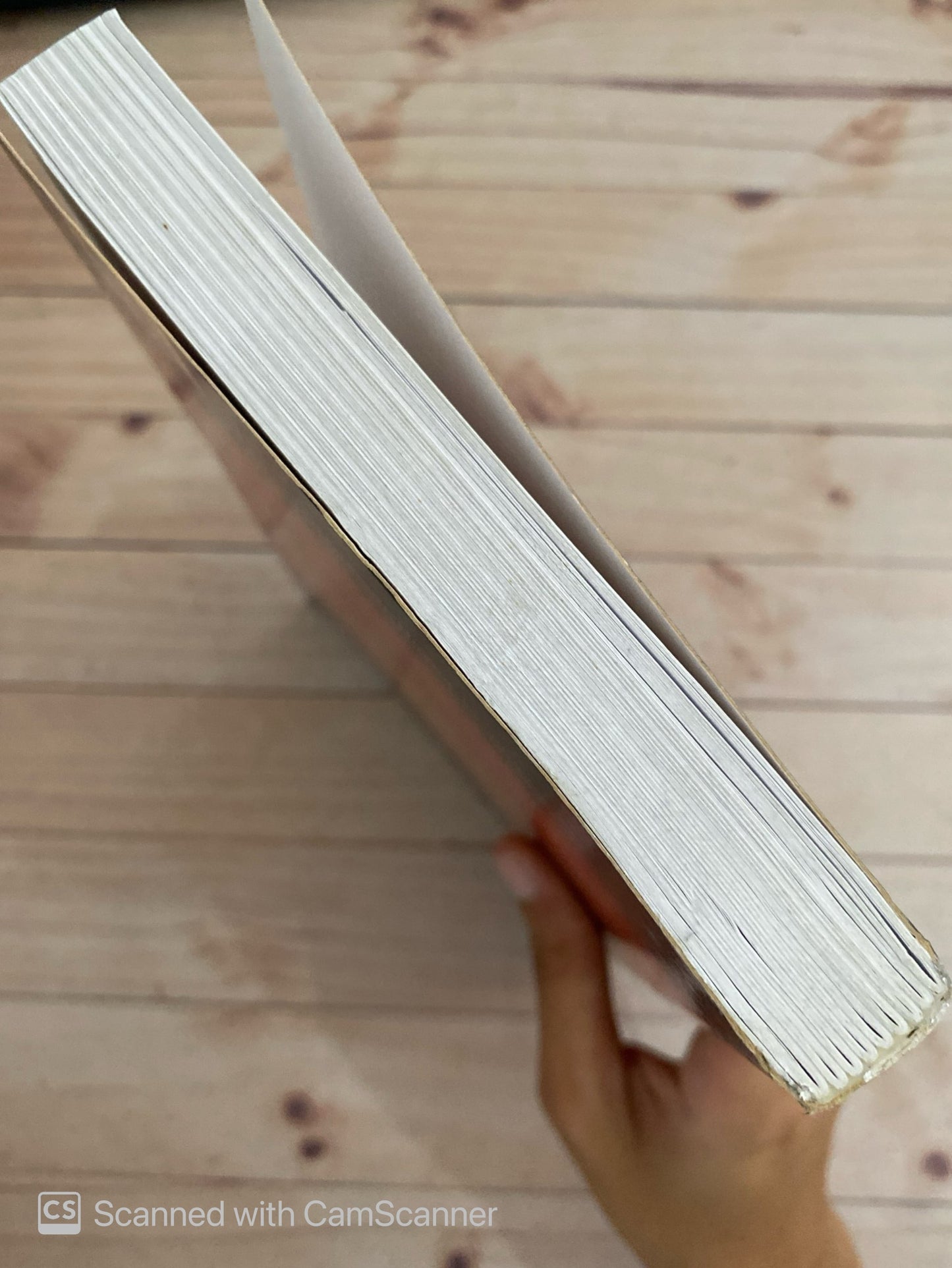 Barridos por el viento | Roberto Hosne