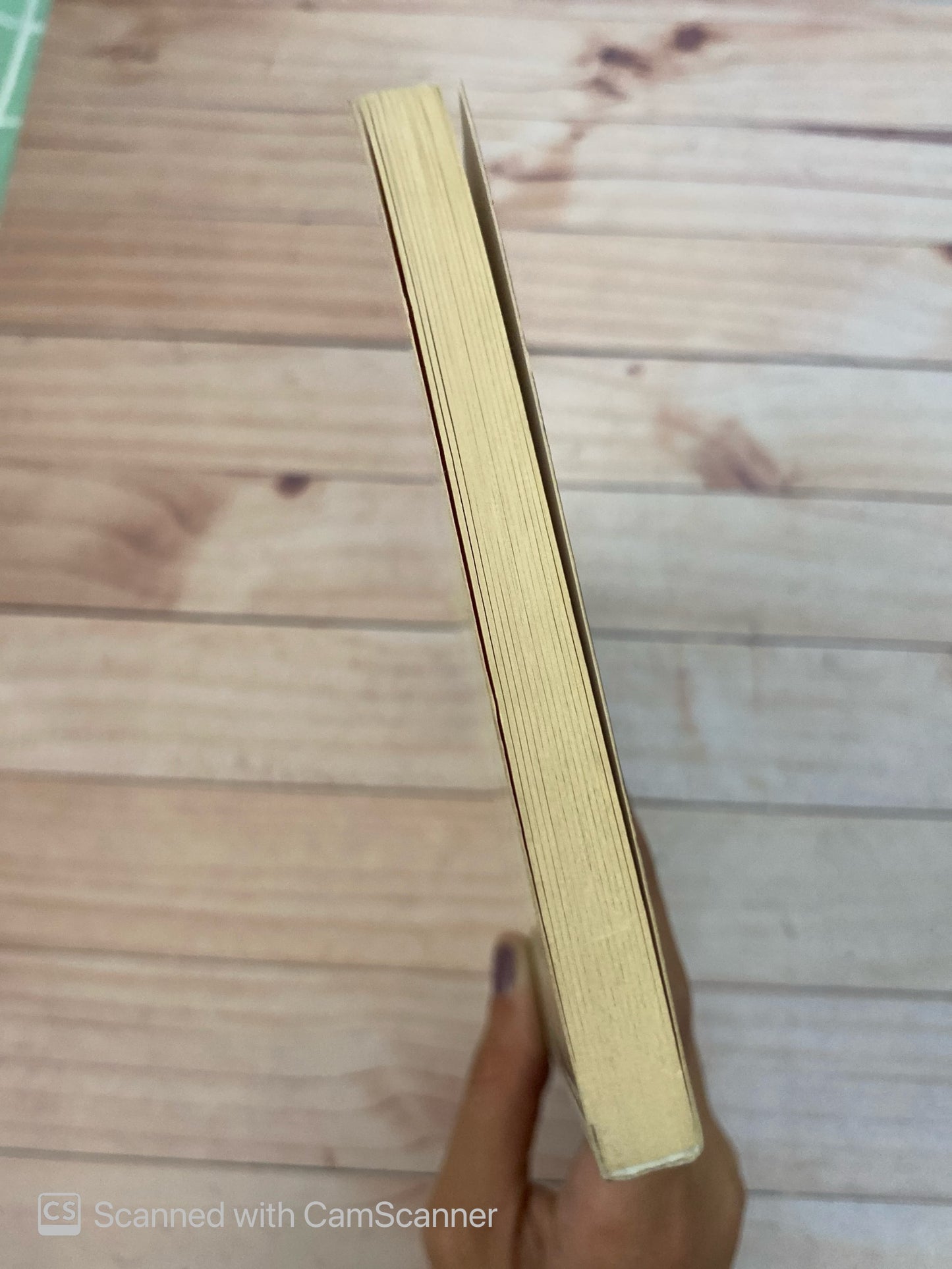 Besos de fogueo | Montero Glez