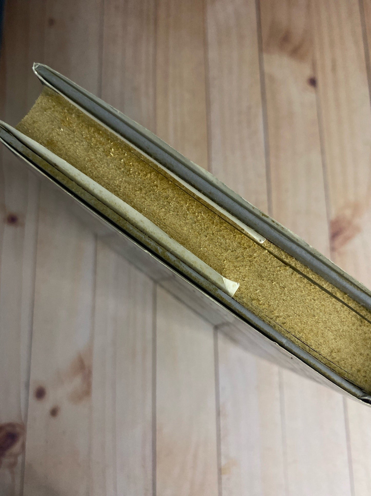 Biografía de Martin Luther King