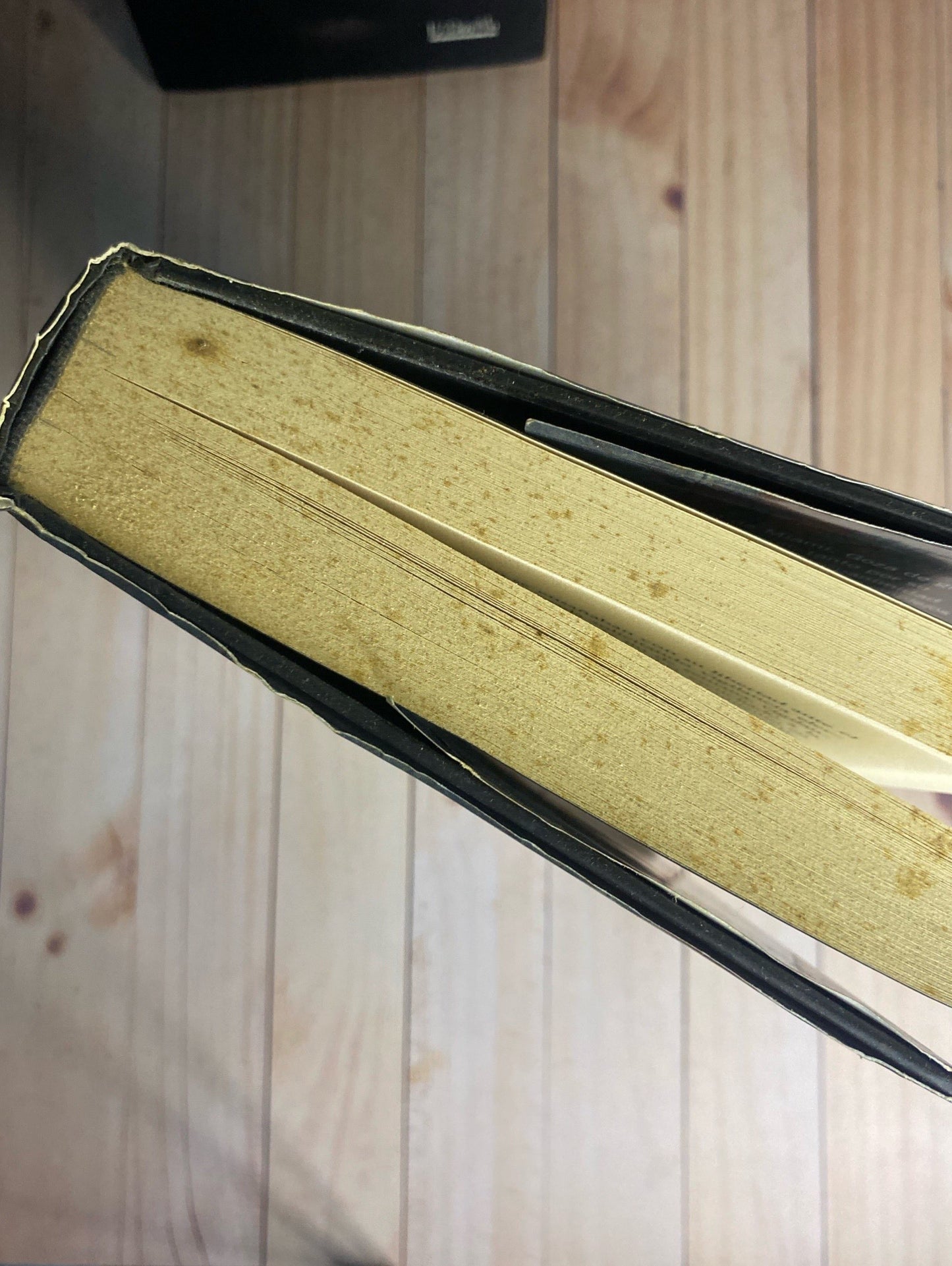 Castigo | Jilliane Hoffman