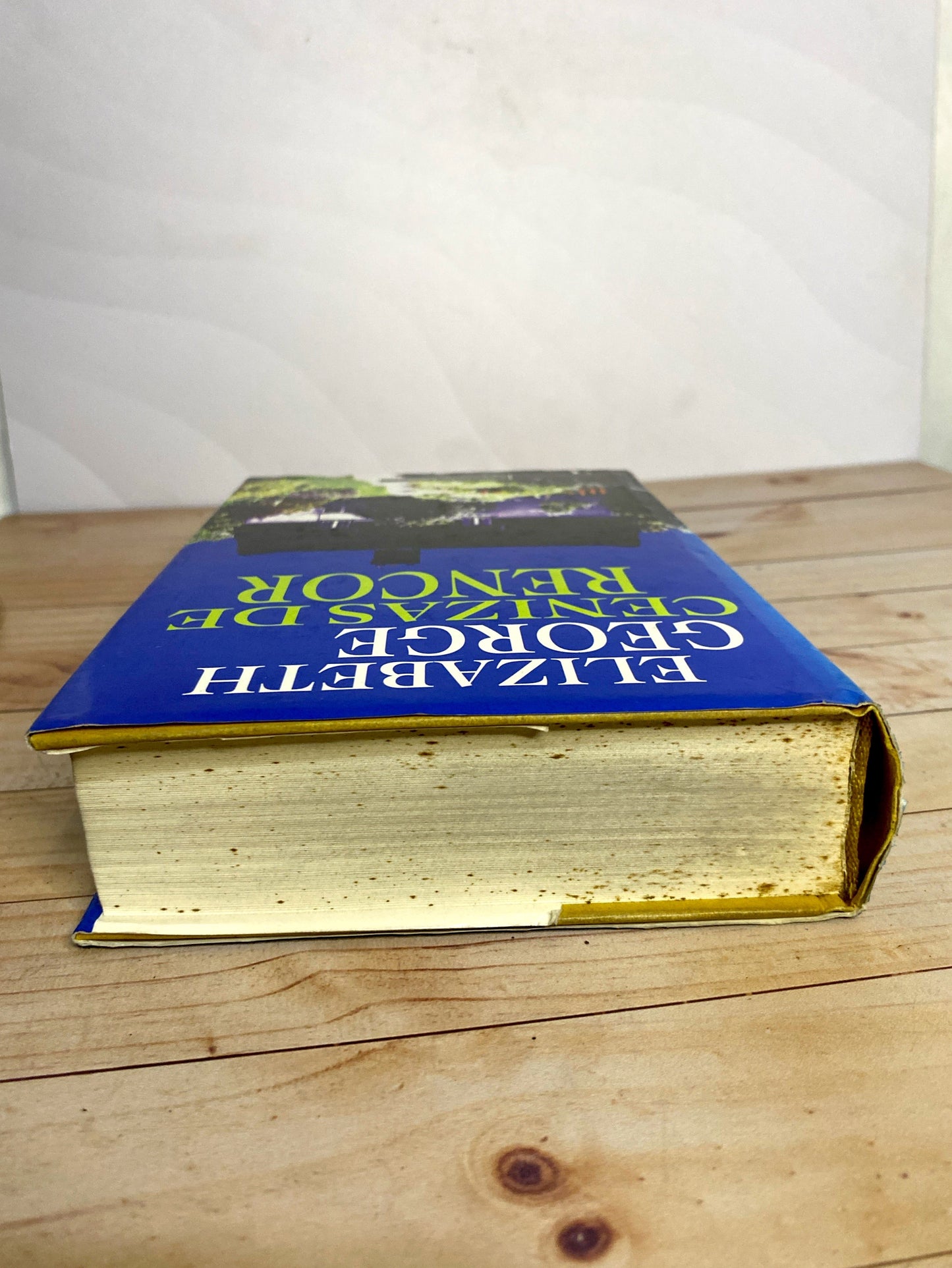 Cenizas de rencor | Elizabeth George