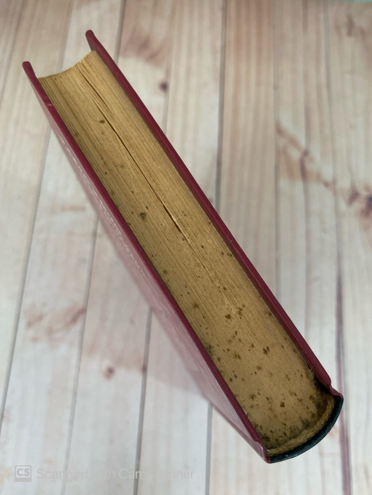 Ceremonias | Julio Cortázar