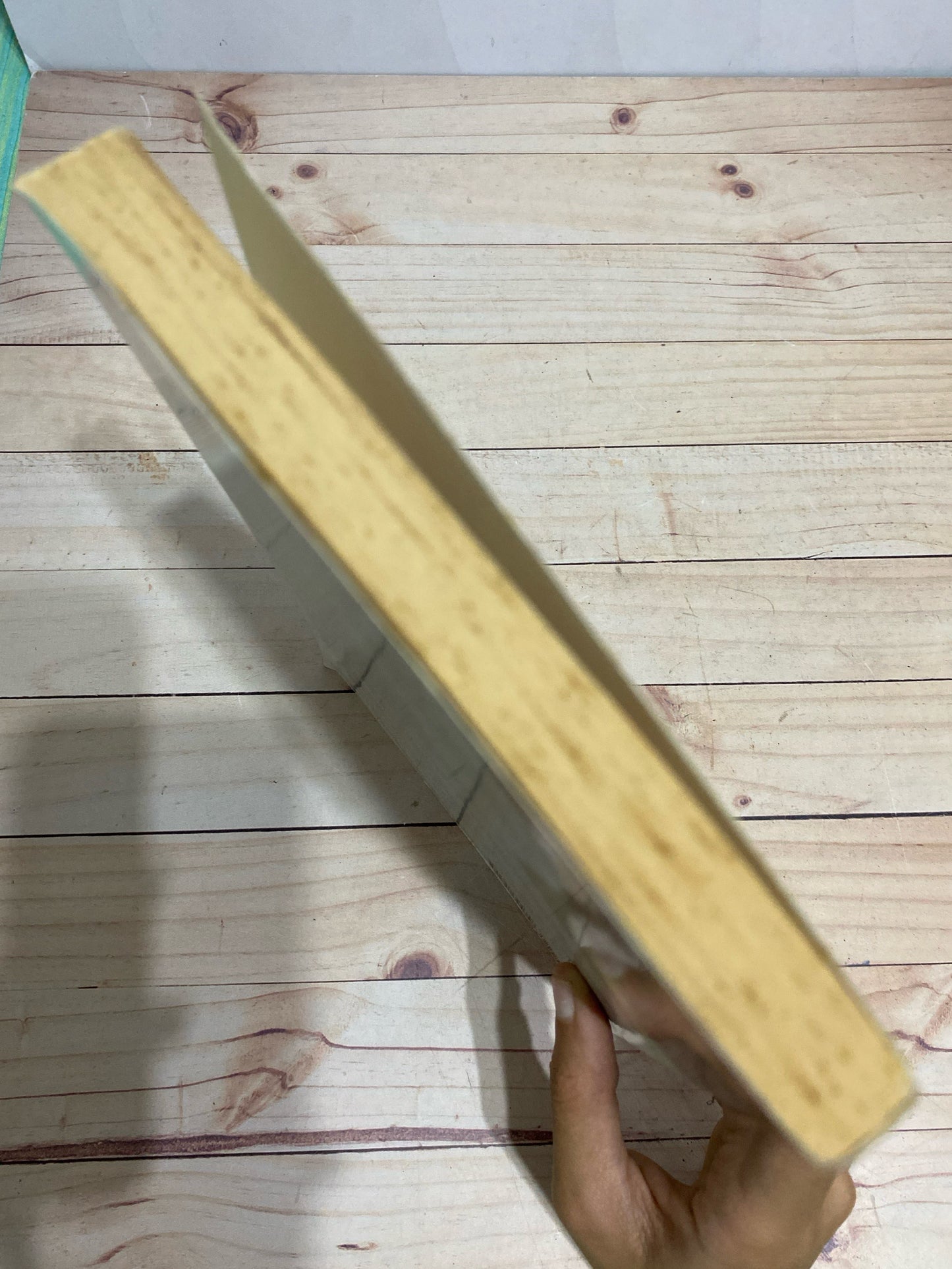 Coaching and mentoring