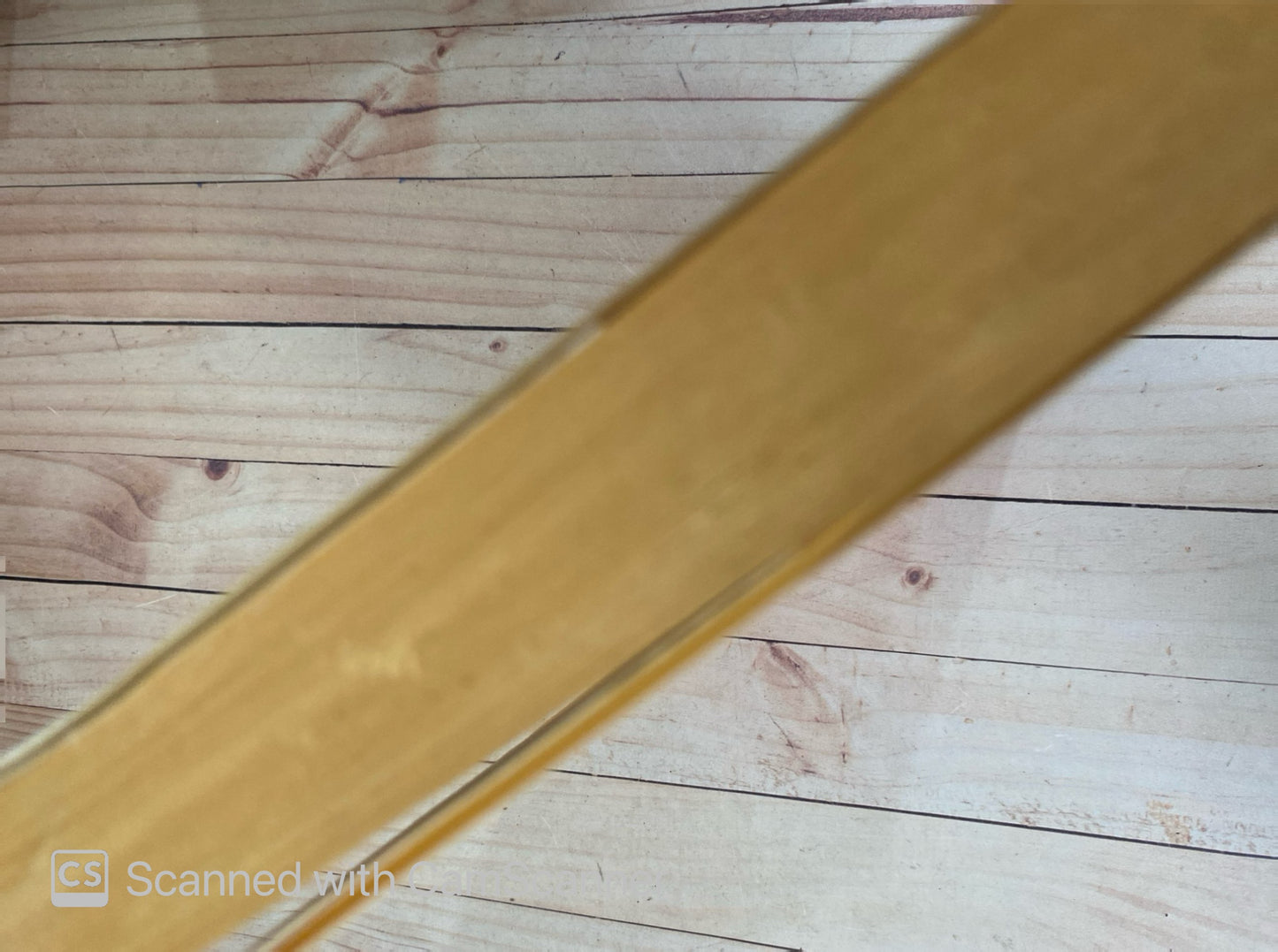 Crónicas malditas | Olga Wornat