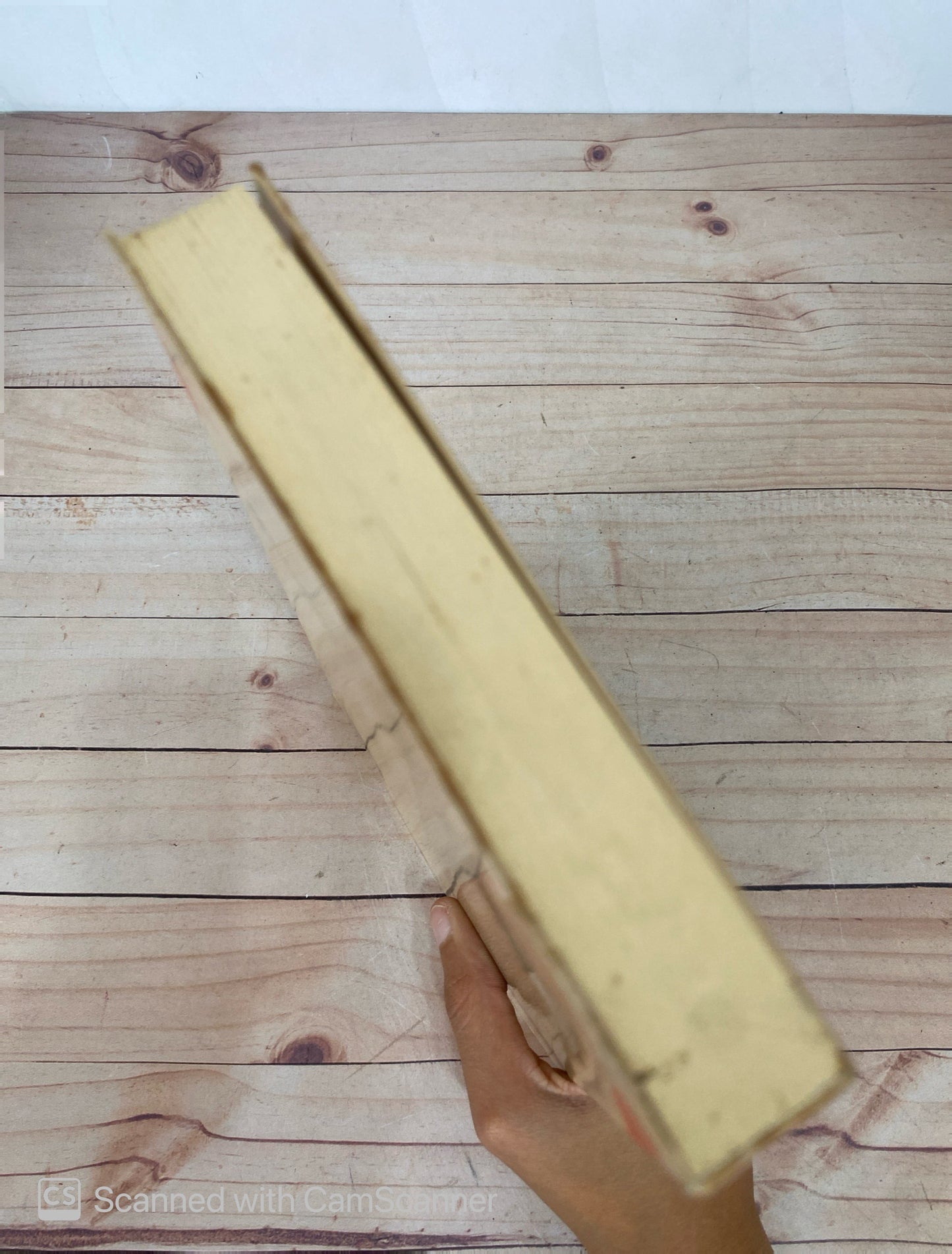 De muerte lenta | Elisa Lerner