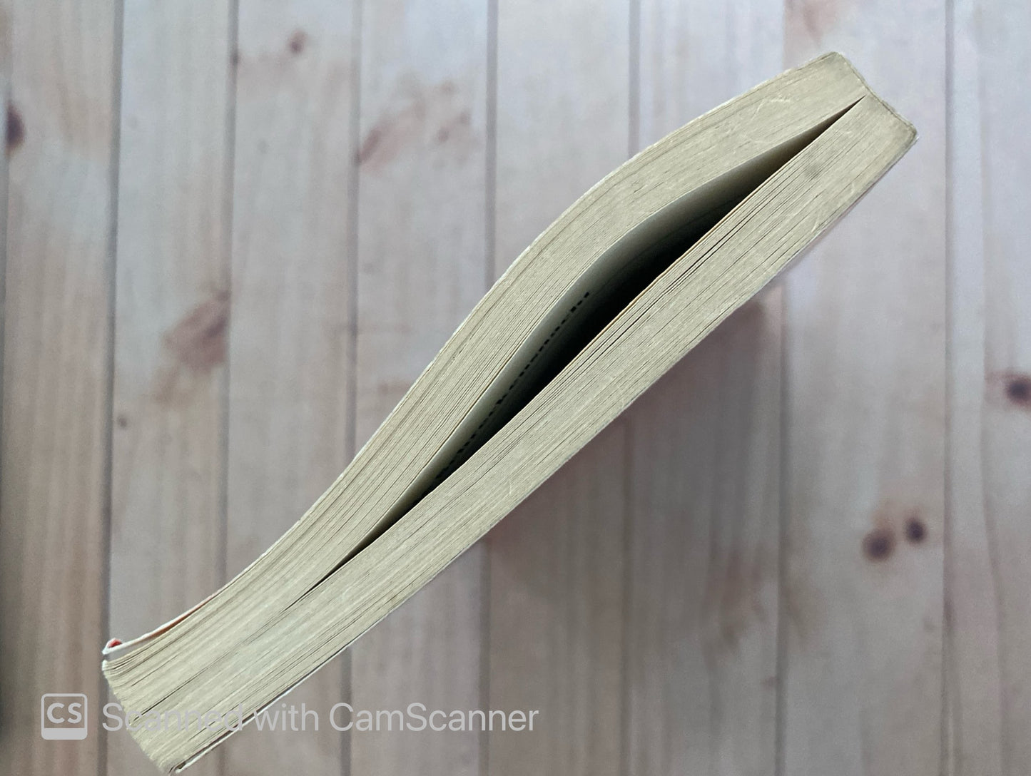 Der Fluch des Schwarzen Ritters | Thomas Brezina