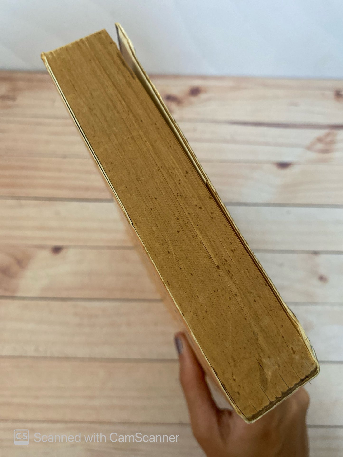 Descubre a tus ángeles | Alma Daniel