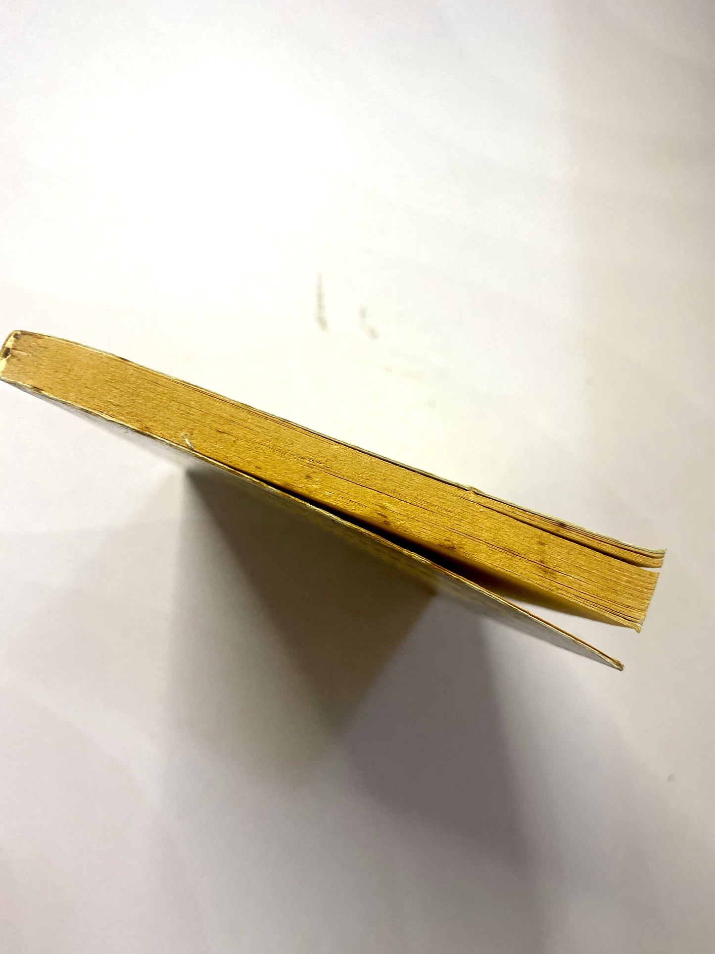 Despues del verano | Rosamunde Pilcher