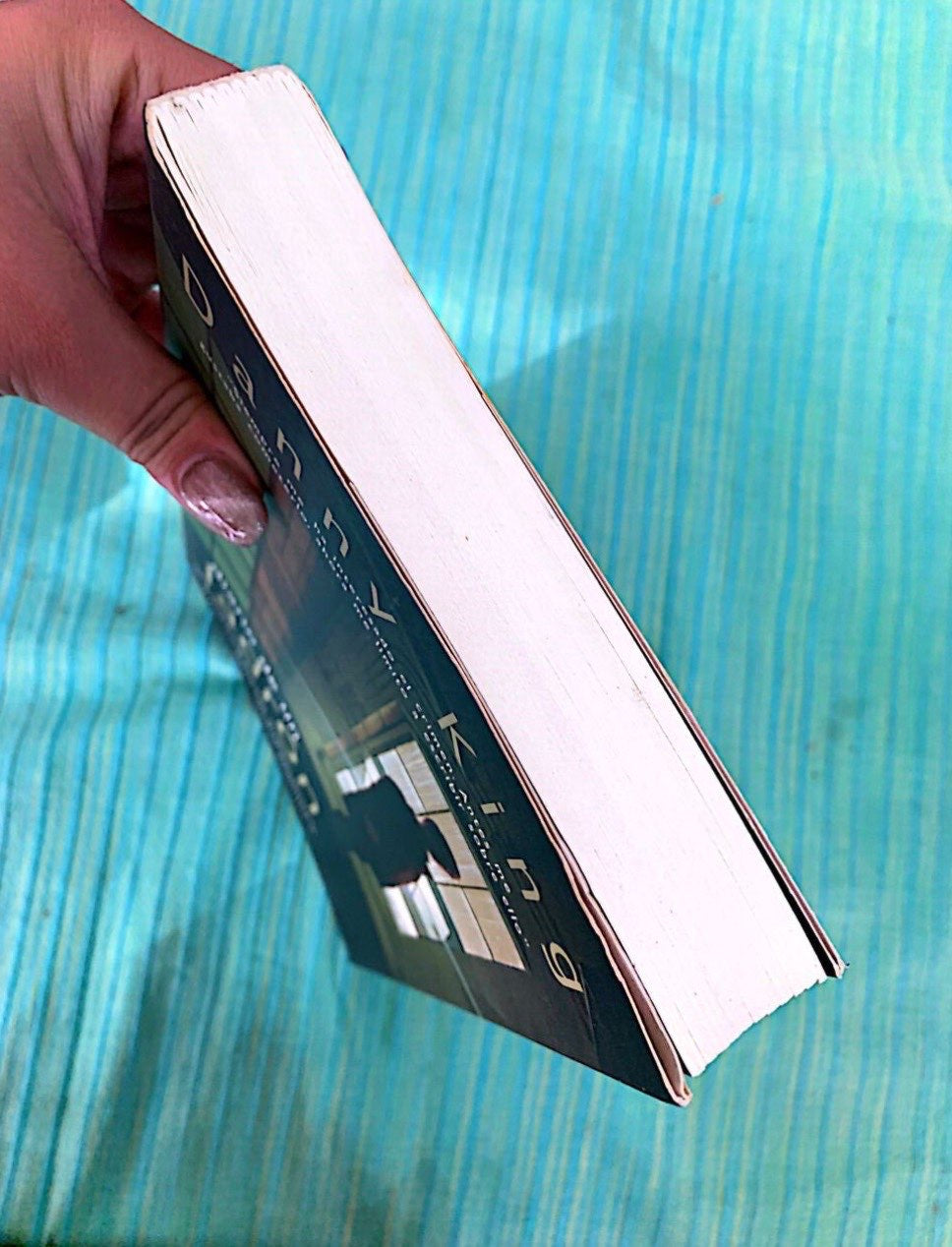 Diario de un ladrón | Danny King