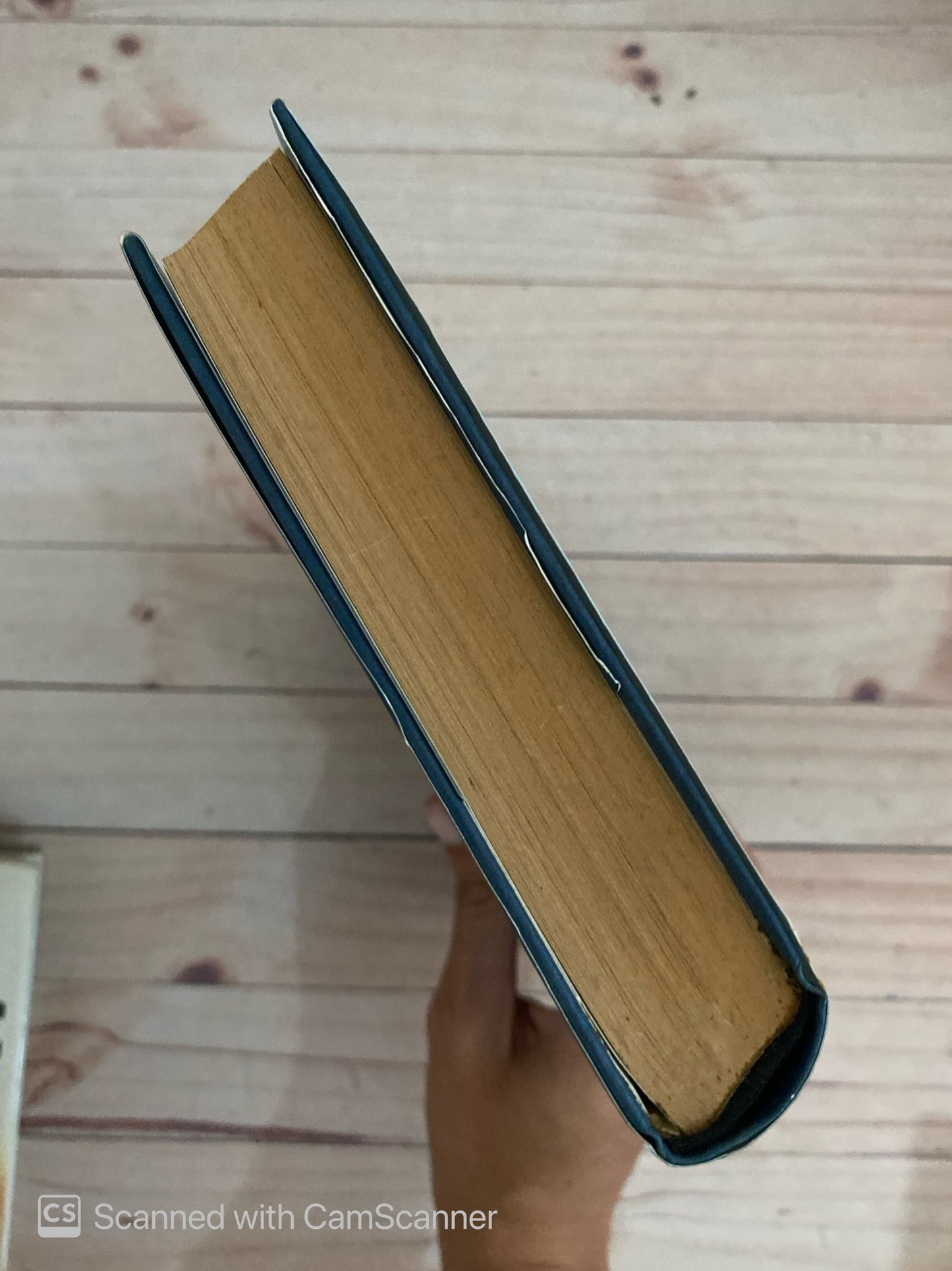 Donde mueren las olas | Minette Walters