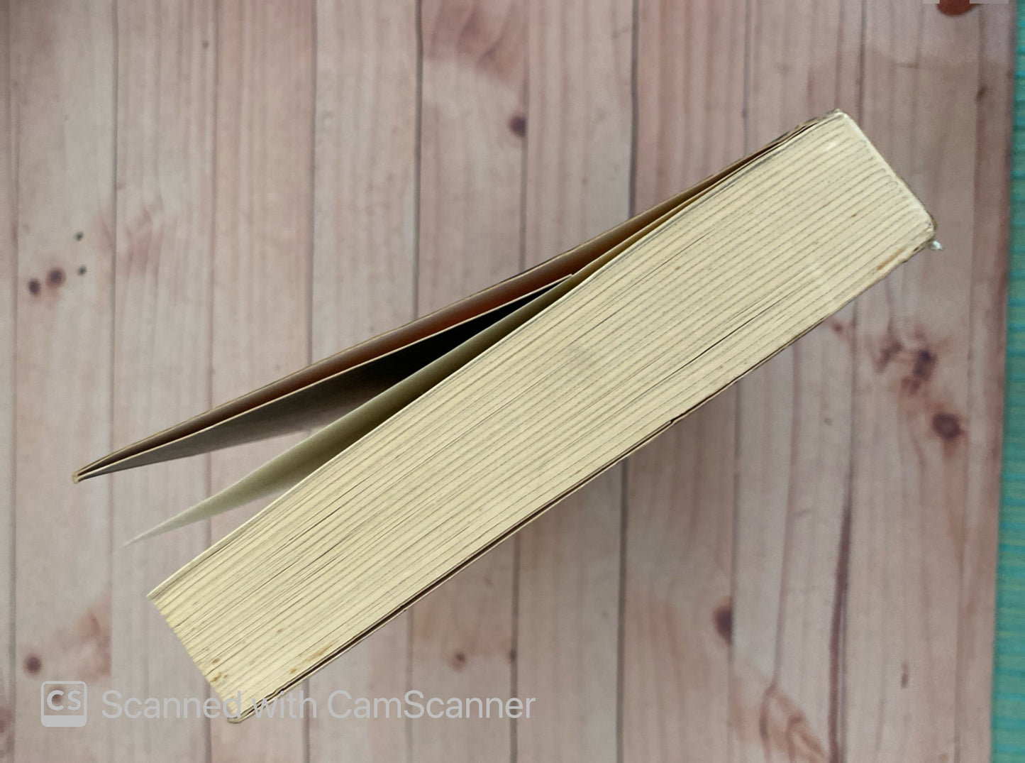 El bosque de Hollow | Nora Roberts