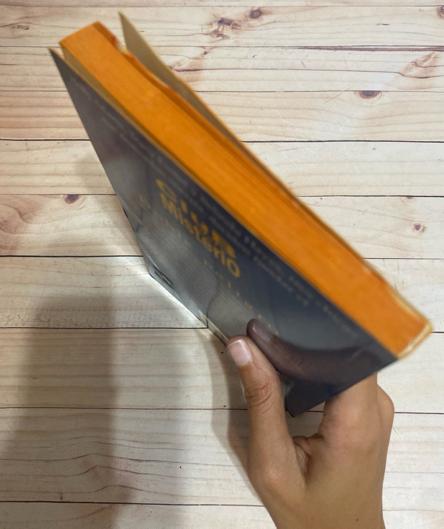 El club del misterio Doble peligro | Fiona Kelly