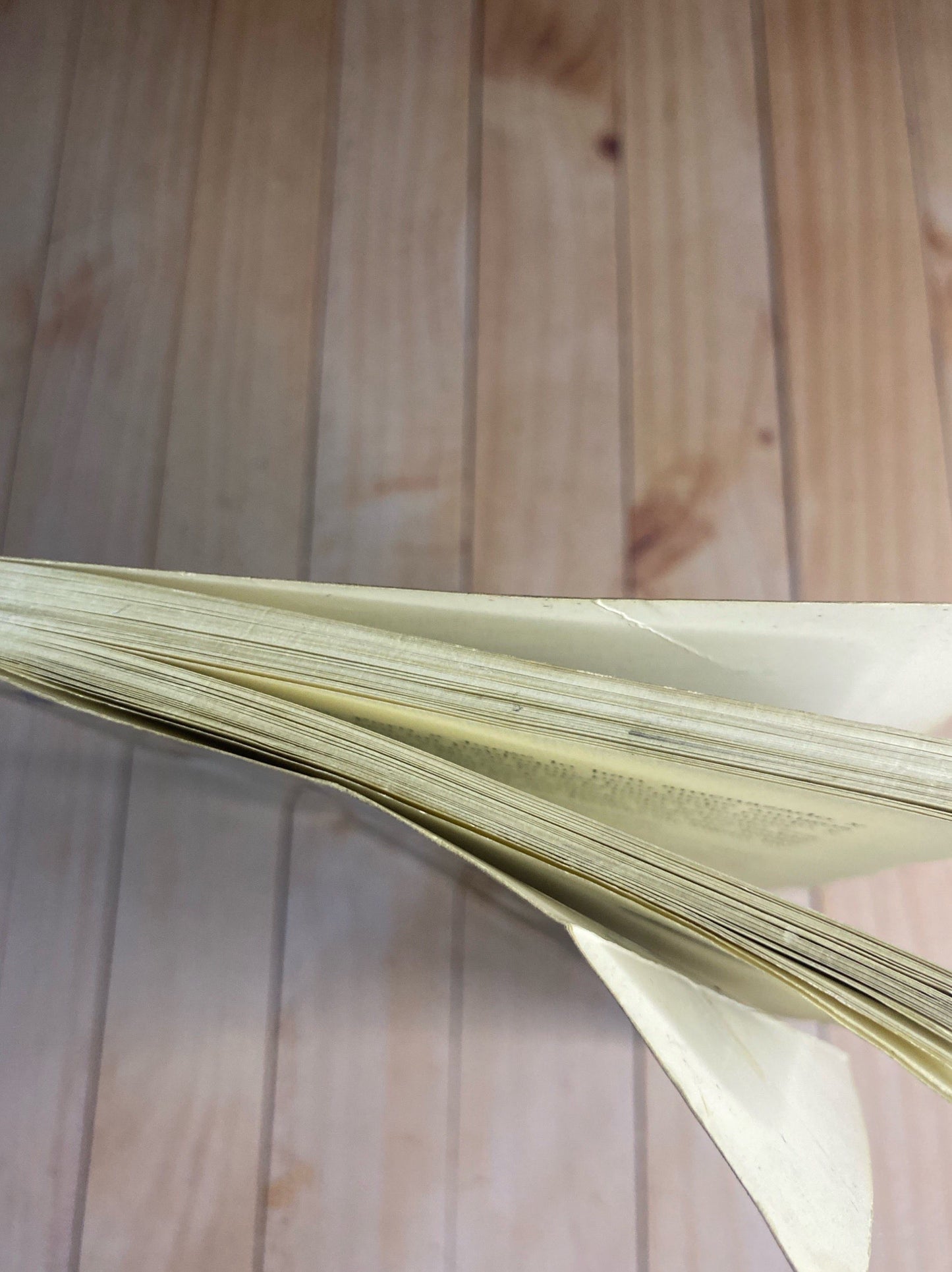 El curso en que me enamoré de ti | Blanca Alvarez