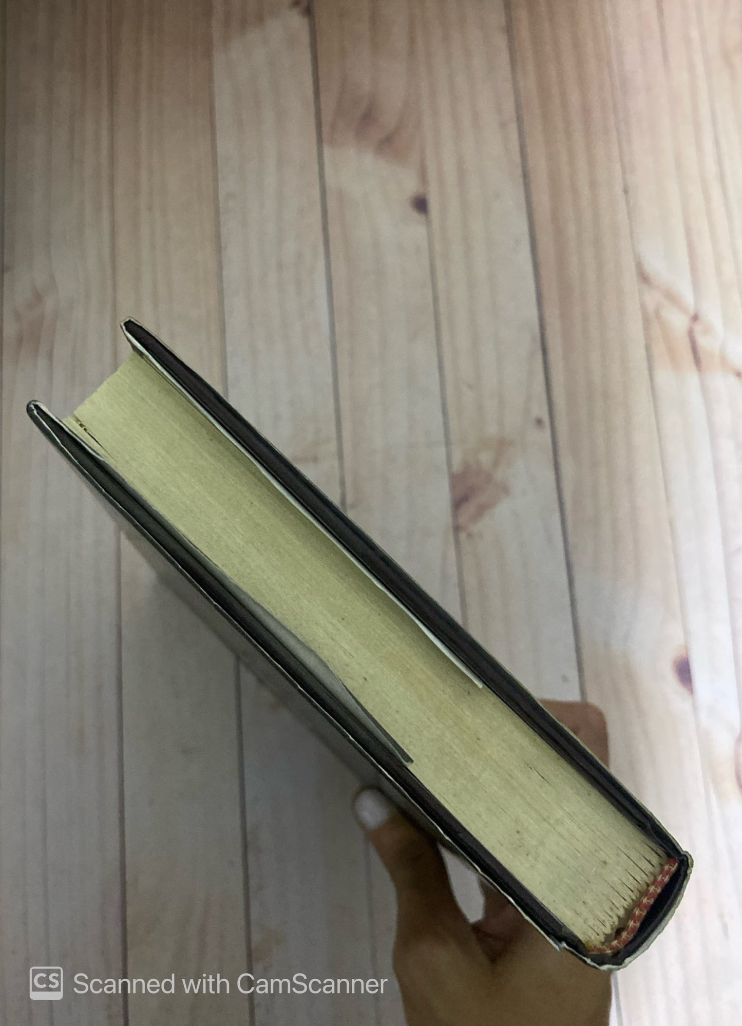 El faraón negro | Christian Jacq