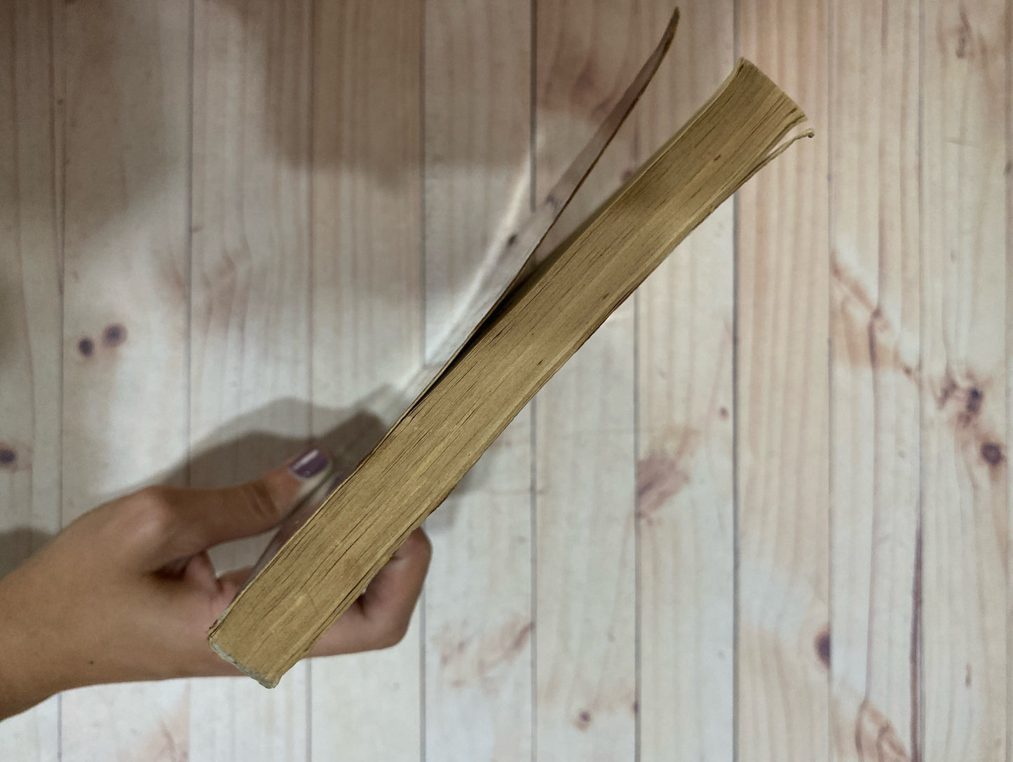 El fugitivo | Stephen King