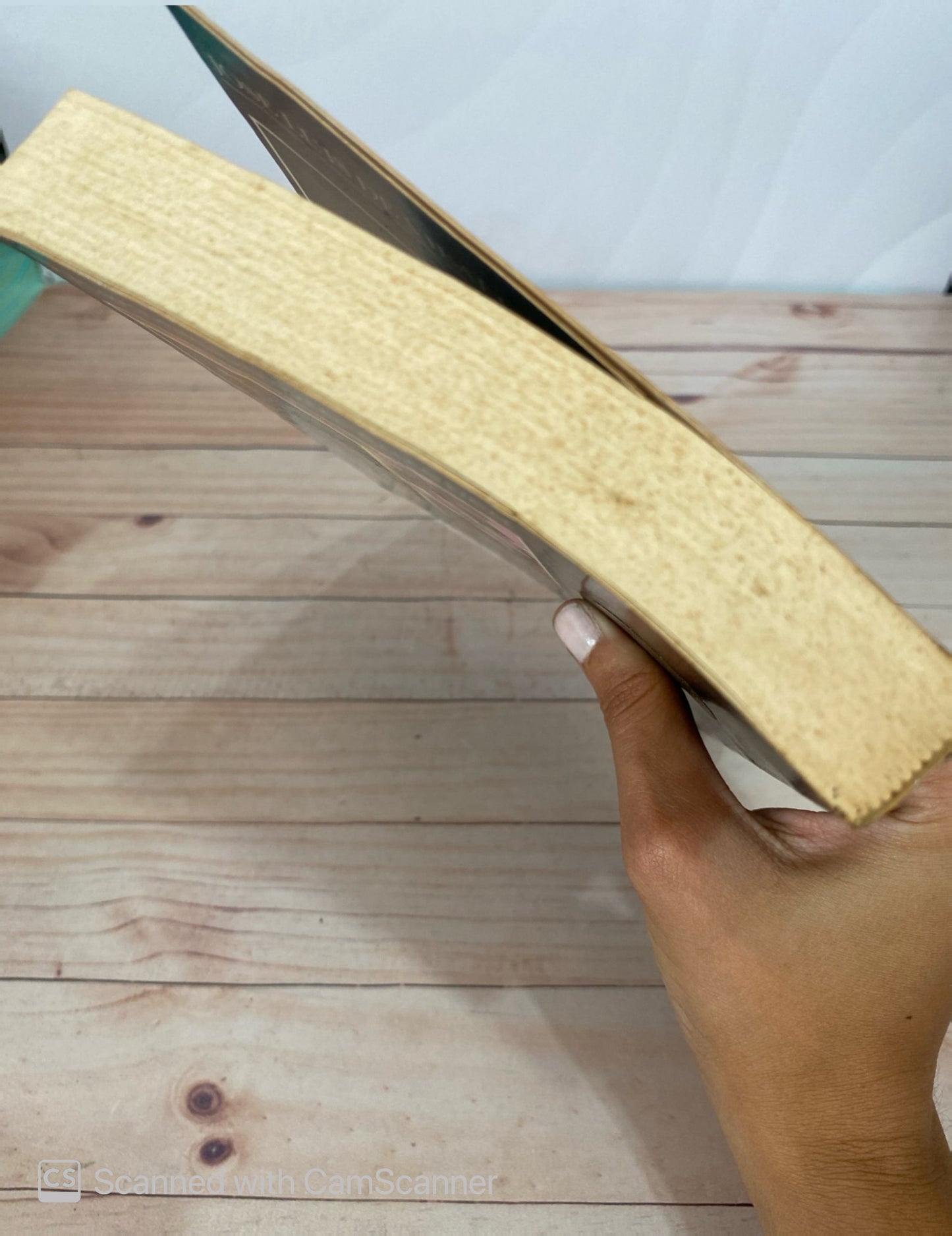 El gentil hombre europeo | José Luis Vilallonga