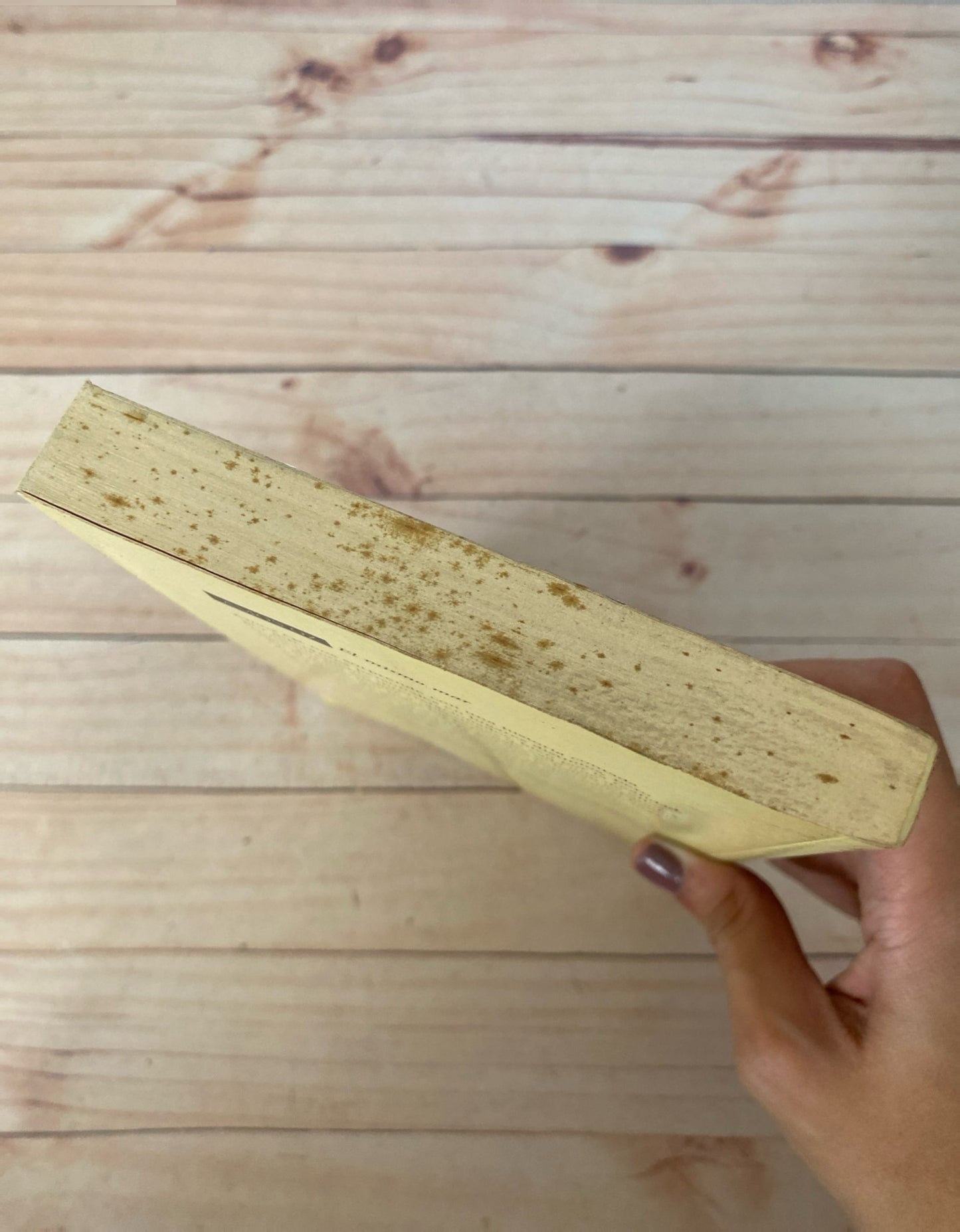 El mismo mar | Amos Oz