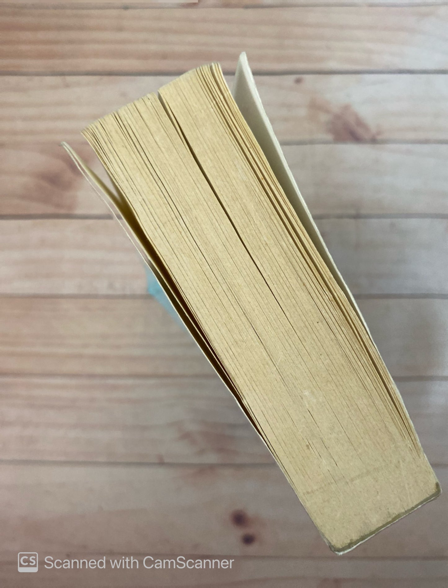 El mundo según garp | John Irving