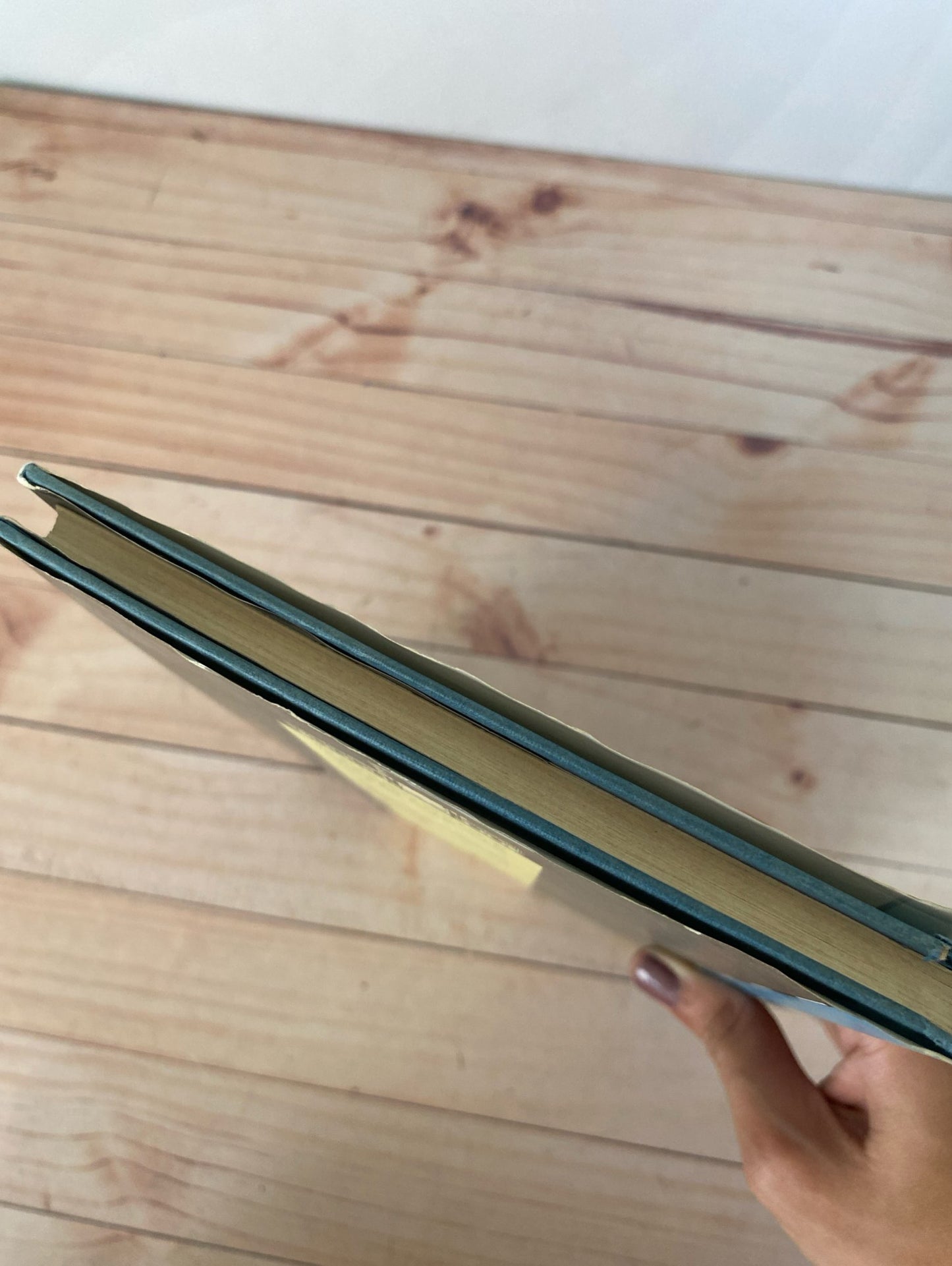 El paquete sorpresa | Sylvia Plath