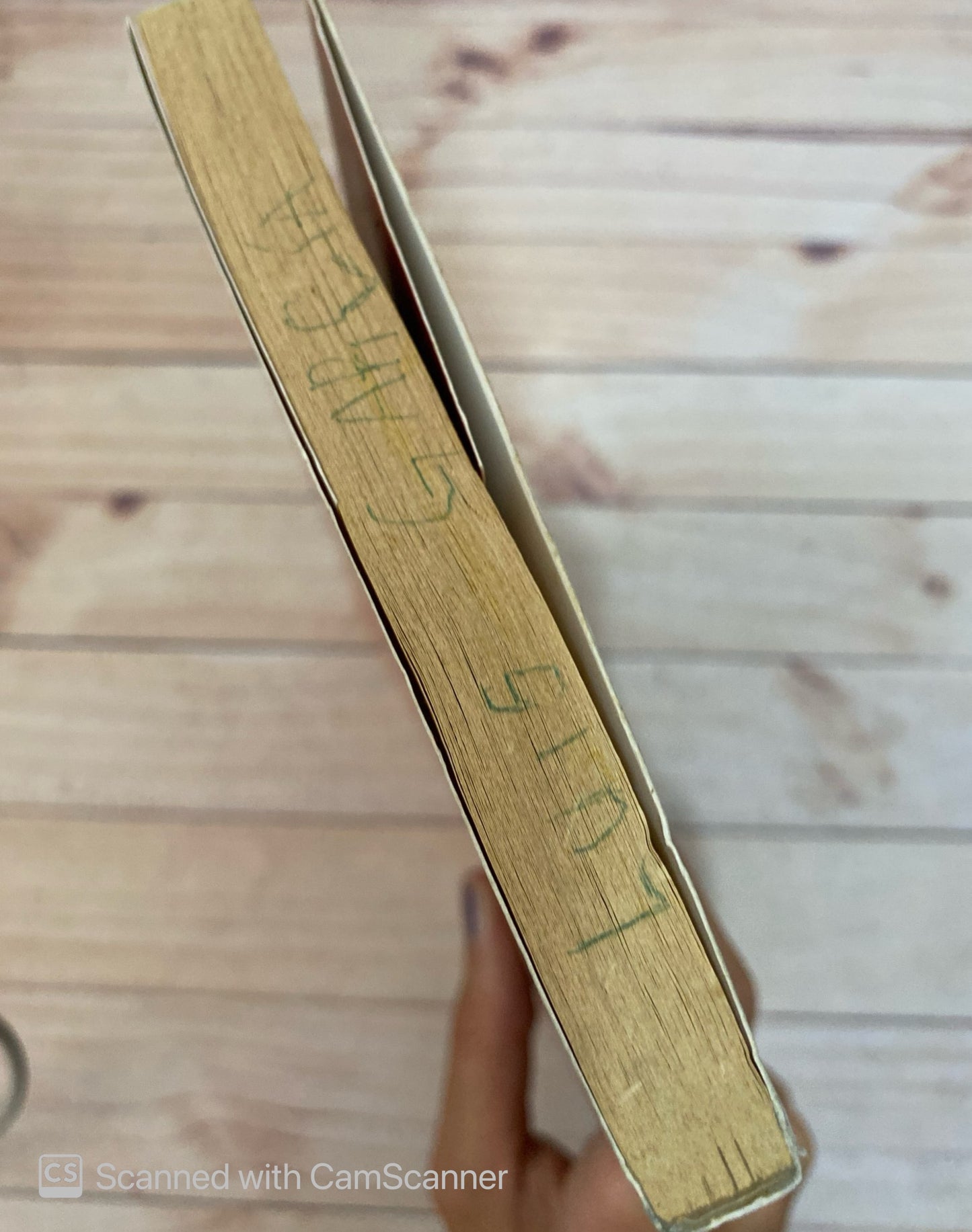 El quinto dragón | Paulina Aguilar Gutiérrez