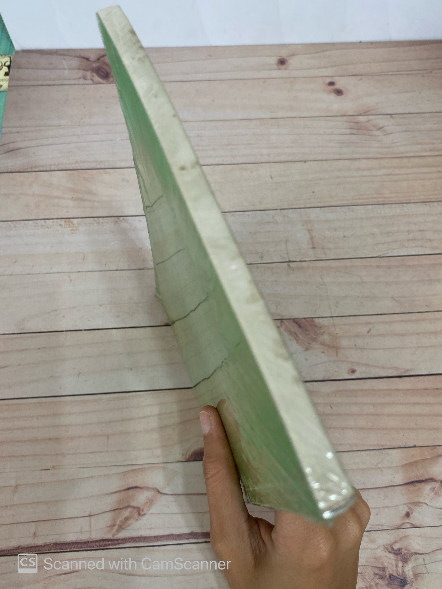 El vagabundo | Khalil gibran