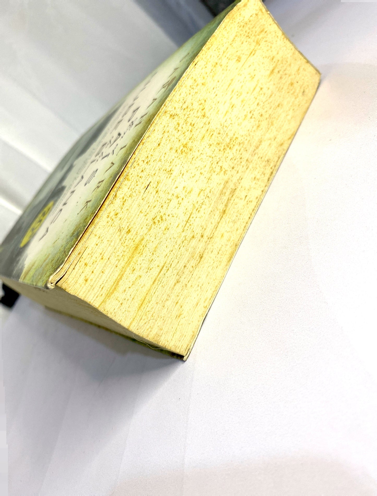 En el país de la nube blanca | Sarah Lark