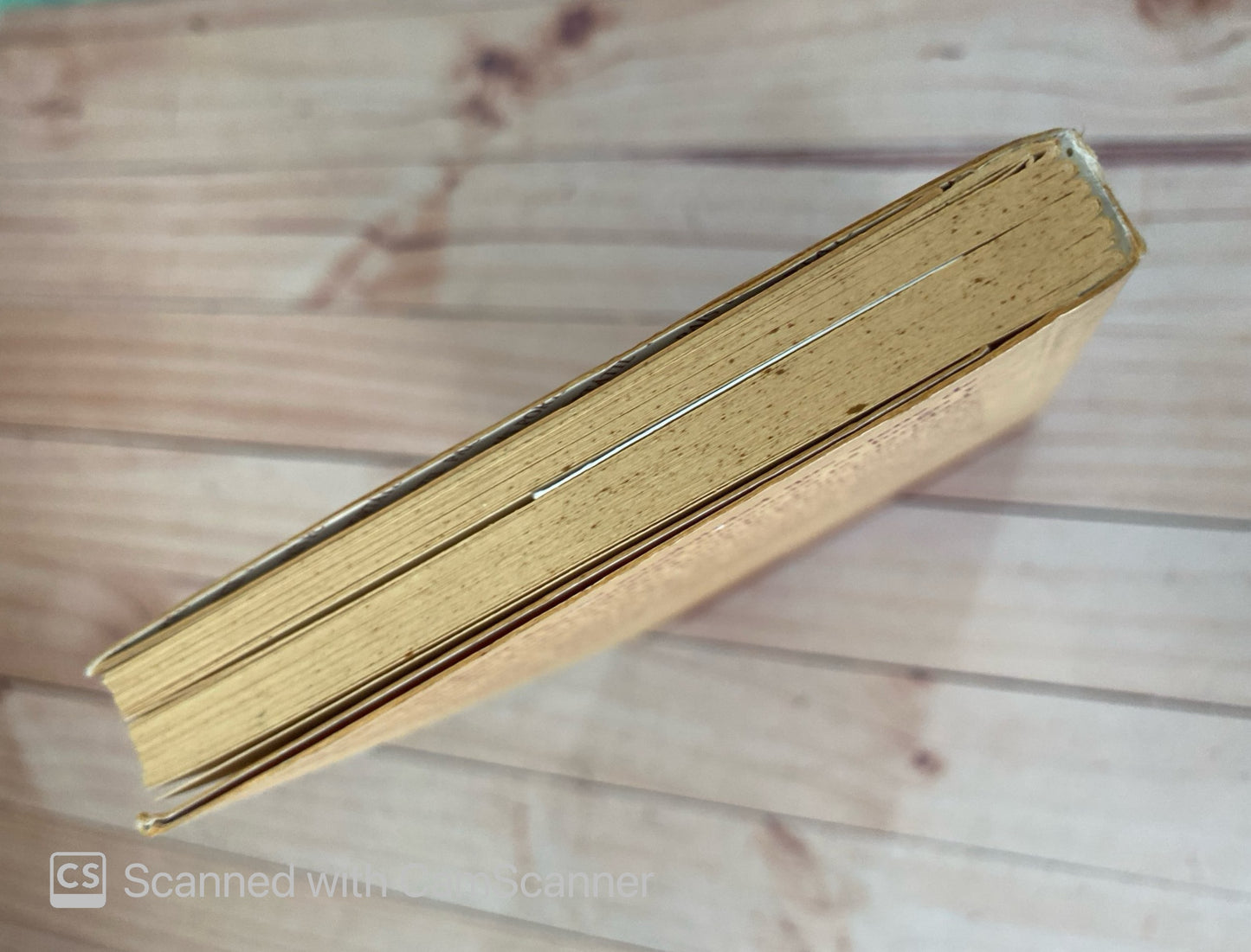 En lugar del corazón | Silda Cordoliani