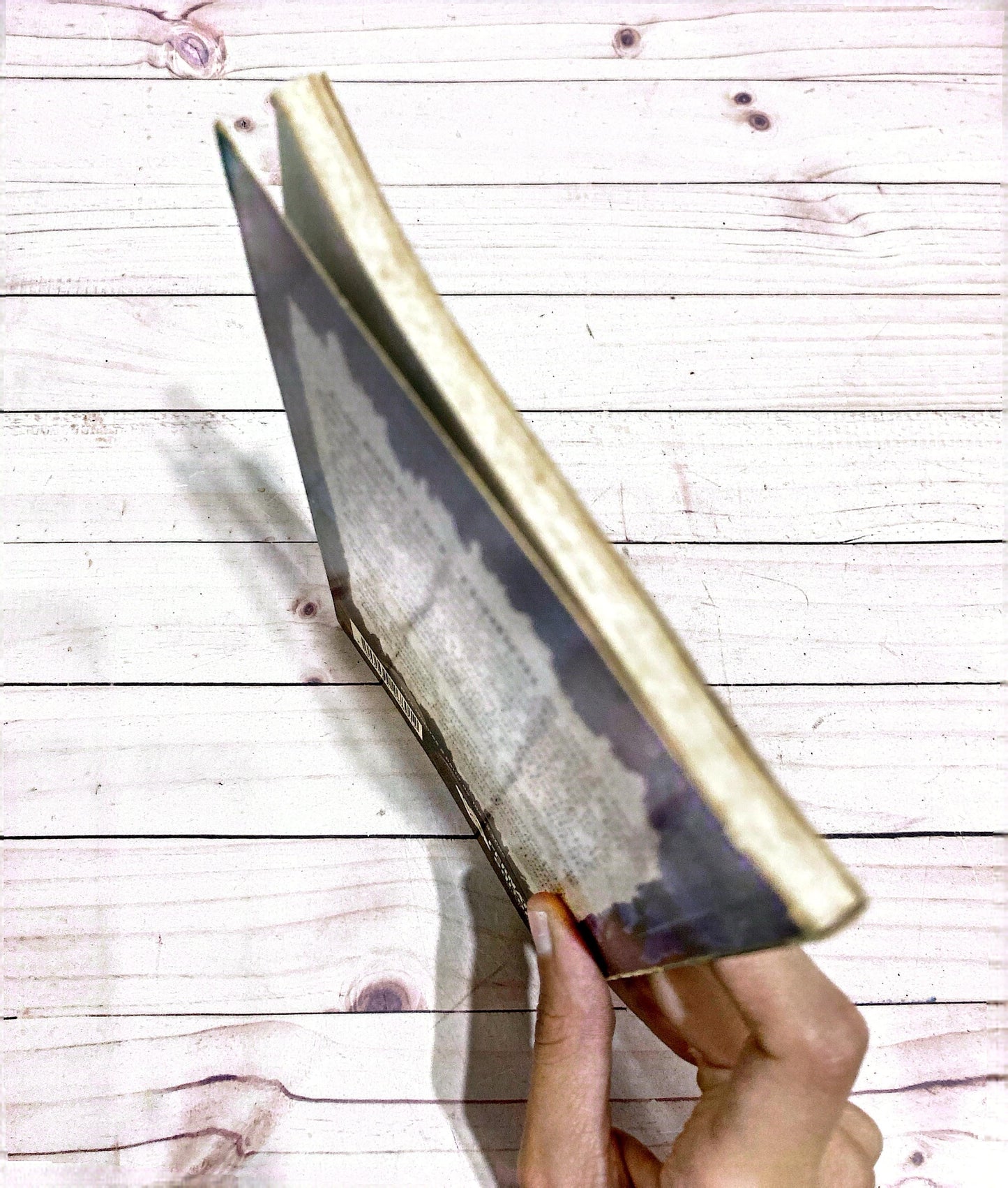 Galería del Terror 2