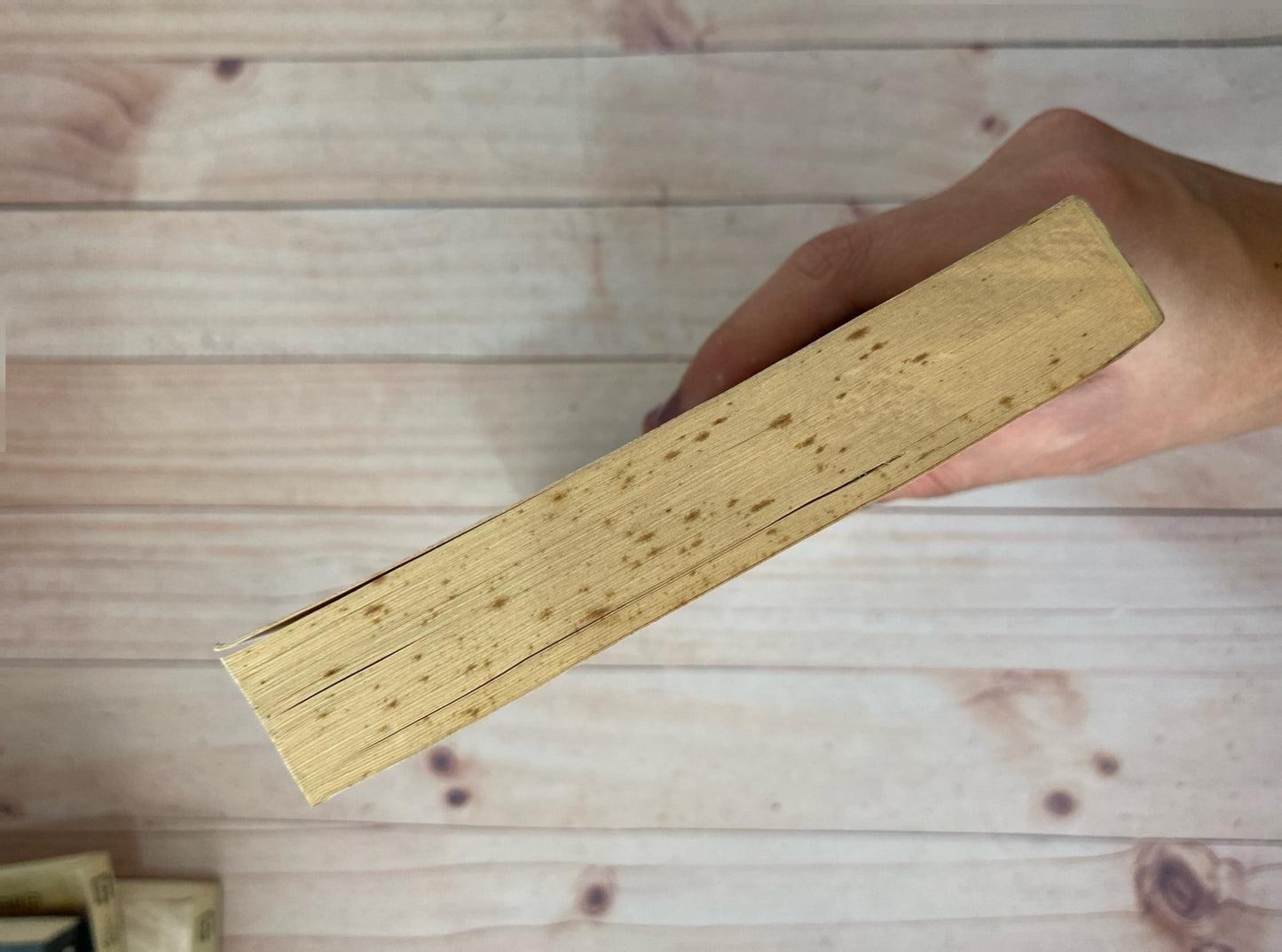 Henderson, el rey de la lluvia | Saul Bellow