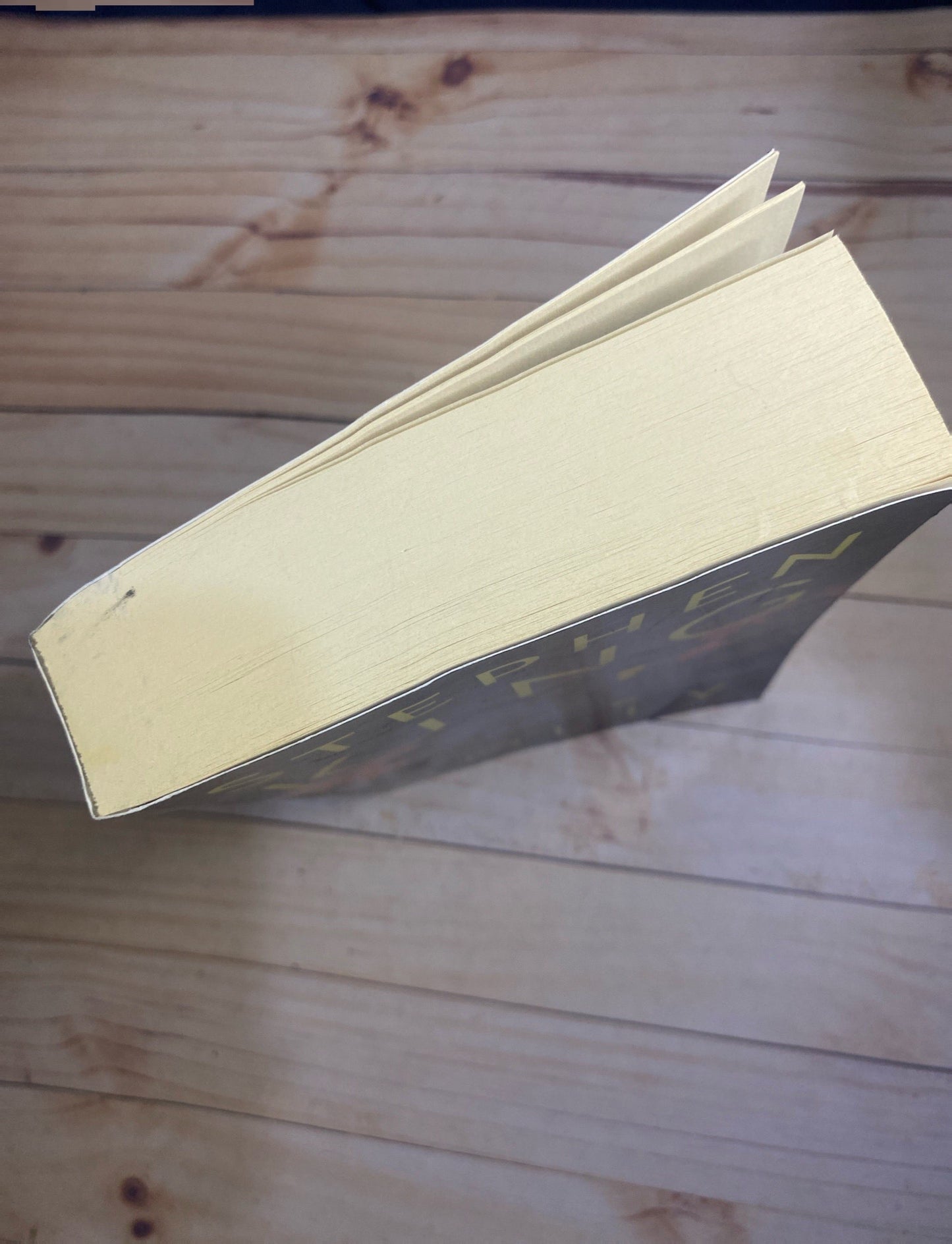 Holly | Stephen King