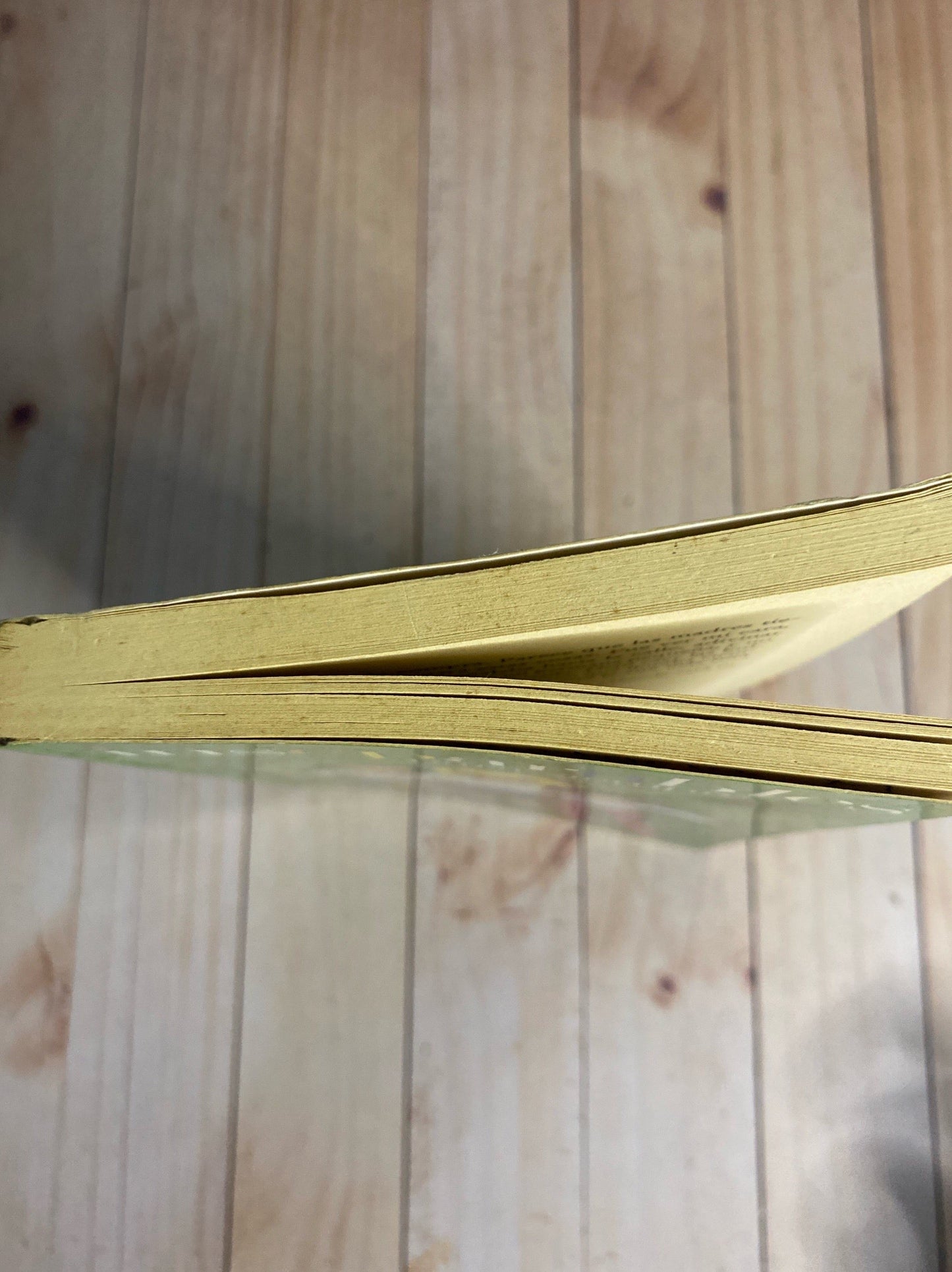 Inseparables para siempre | Care Santos