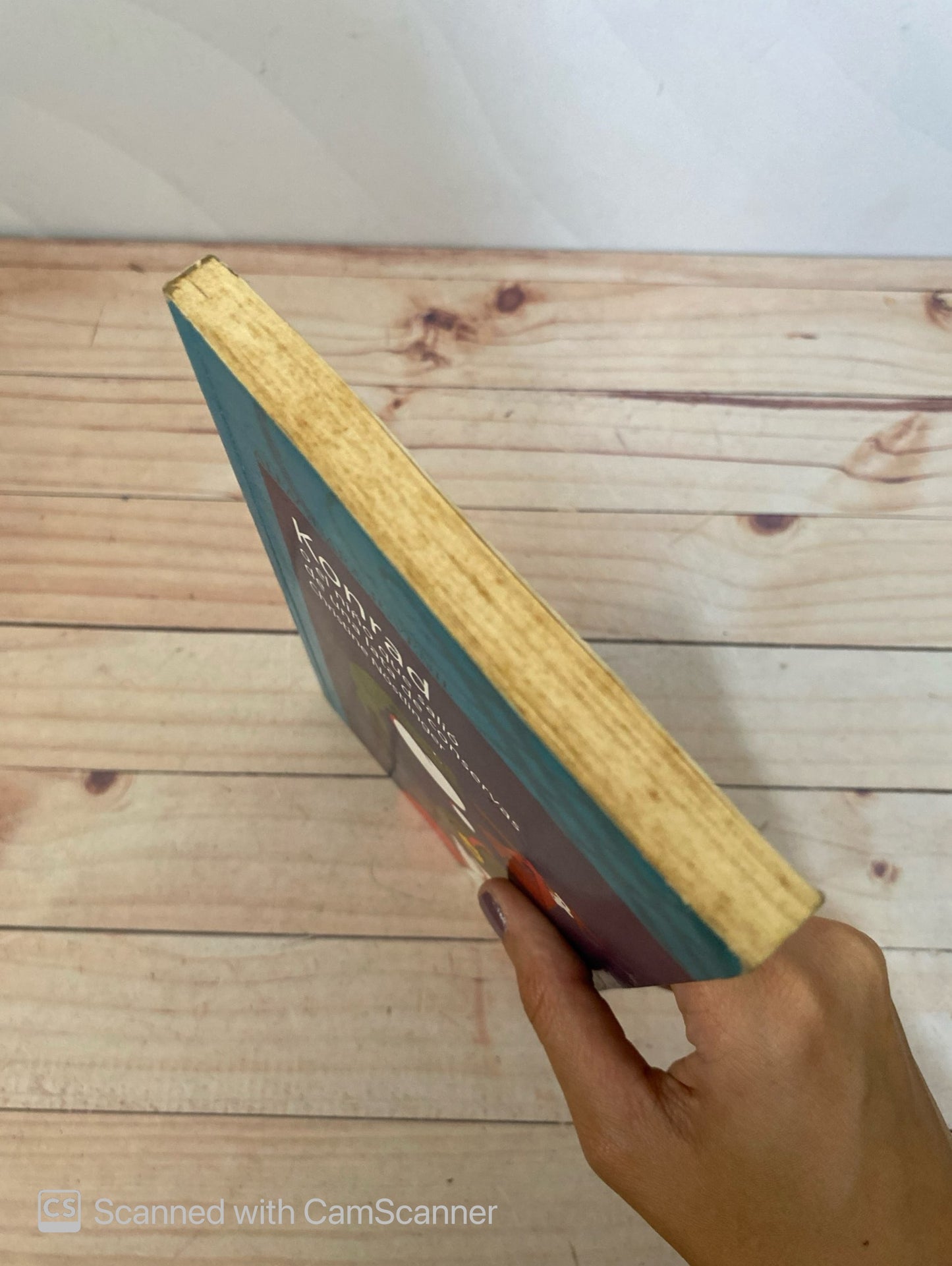 Konrad o el niño que salió de una lata de conservas | Christine Nostlinger