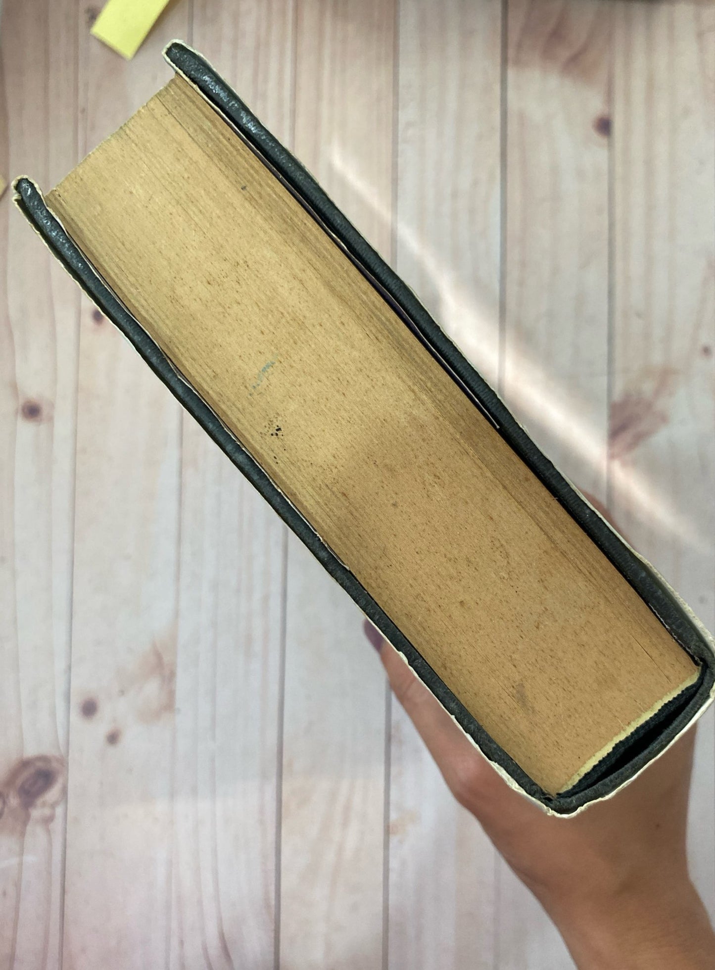 La brújula dorada | Philip Pullman