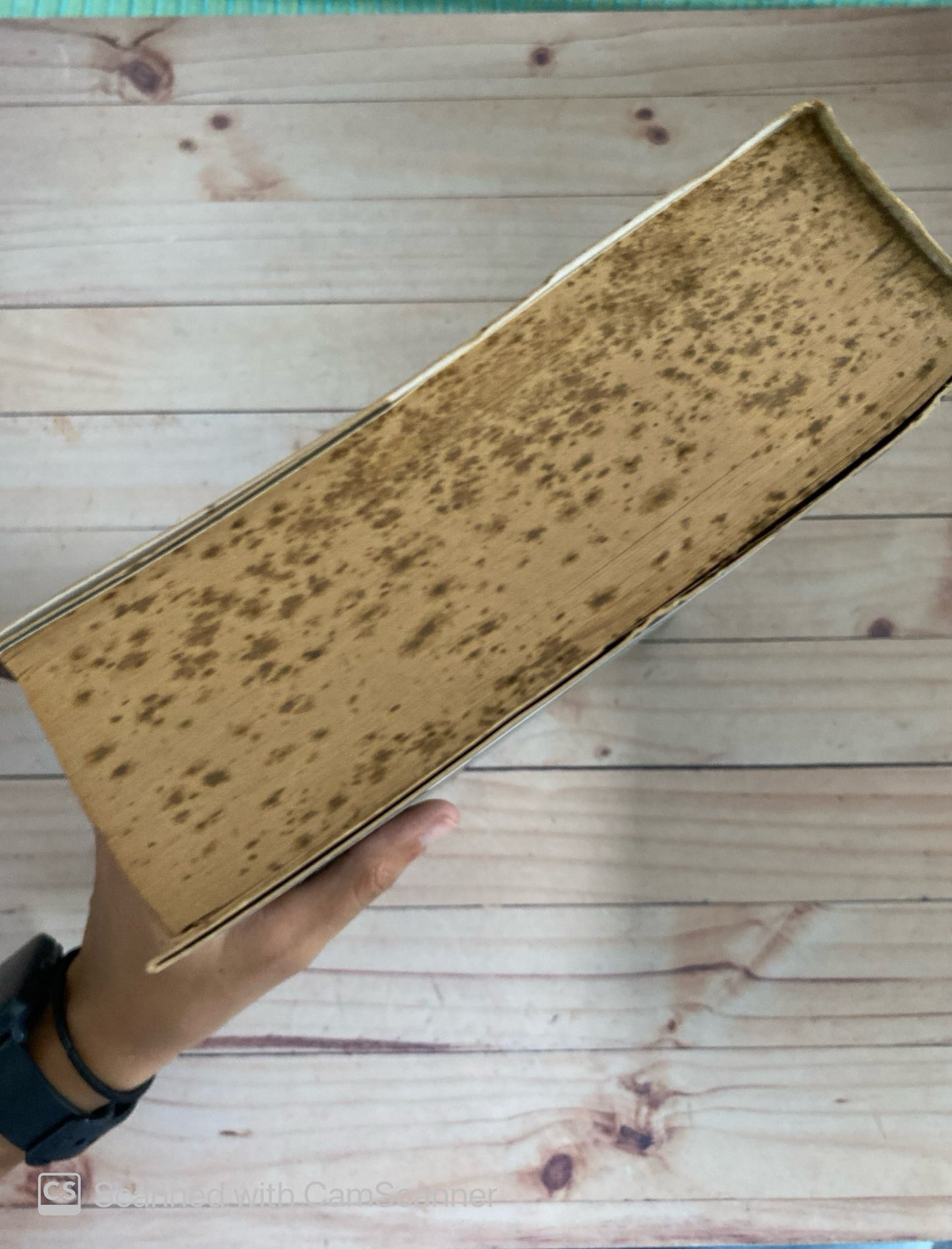 La casa de Altagracia | Carlos Machado Allison