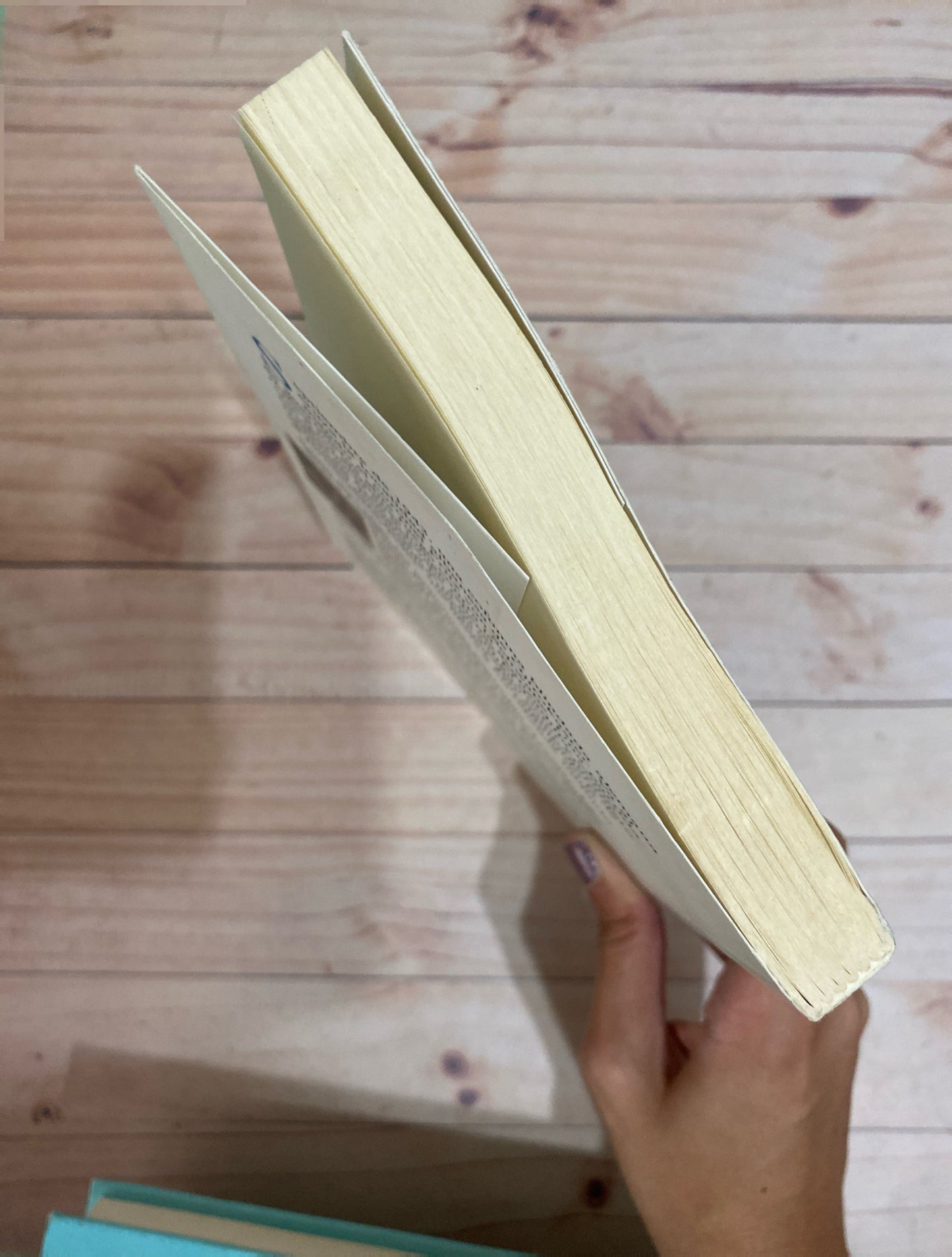 La cena equivocada | Ismail Kadare