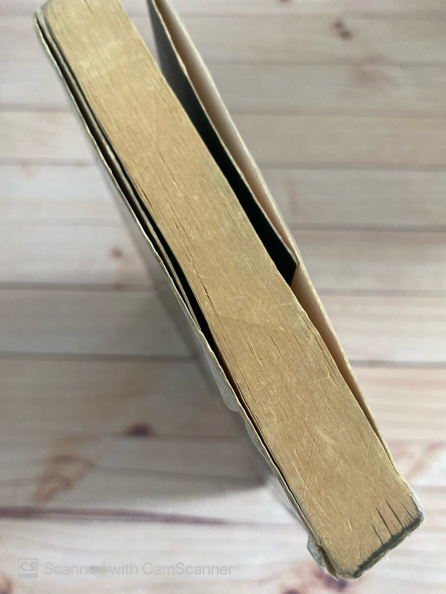 La cruenta venganza del hombre que todos quieren ser | Luis Fernández