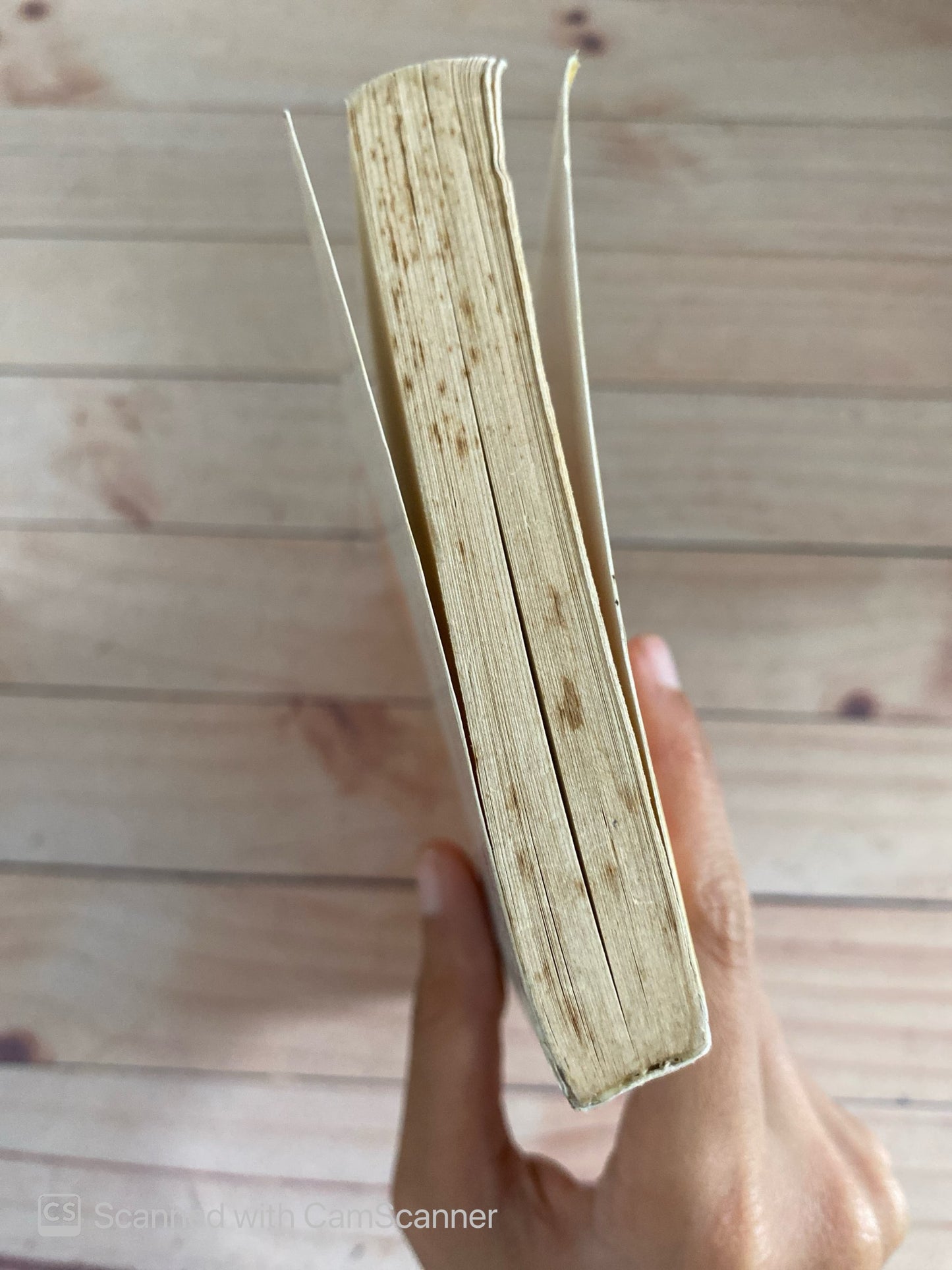 La enredadera | Josefina R. Aldecoa